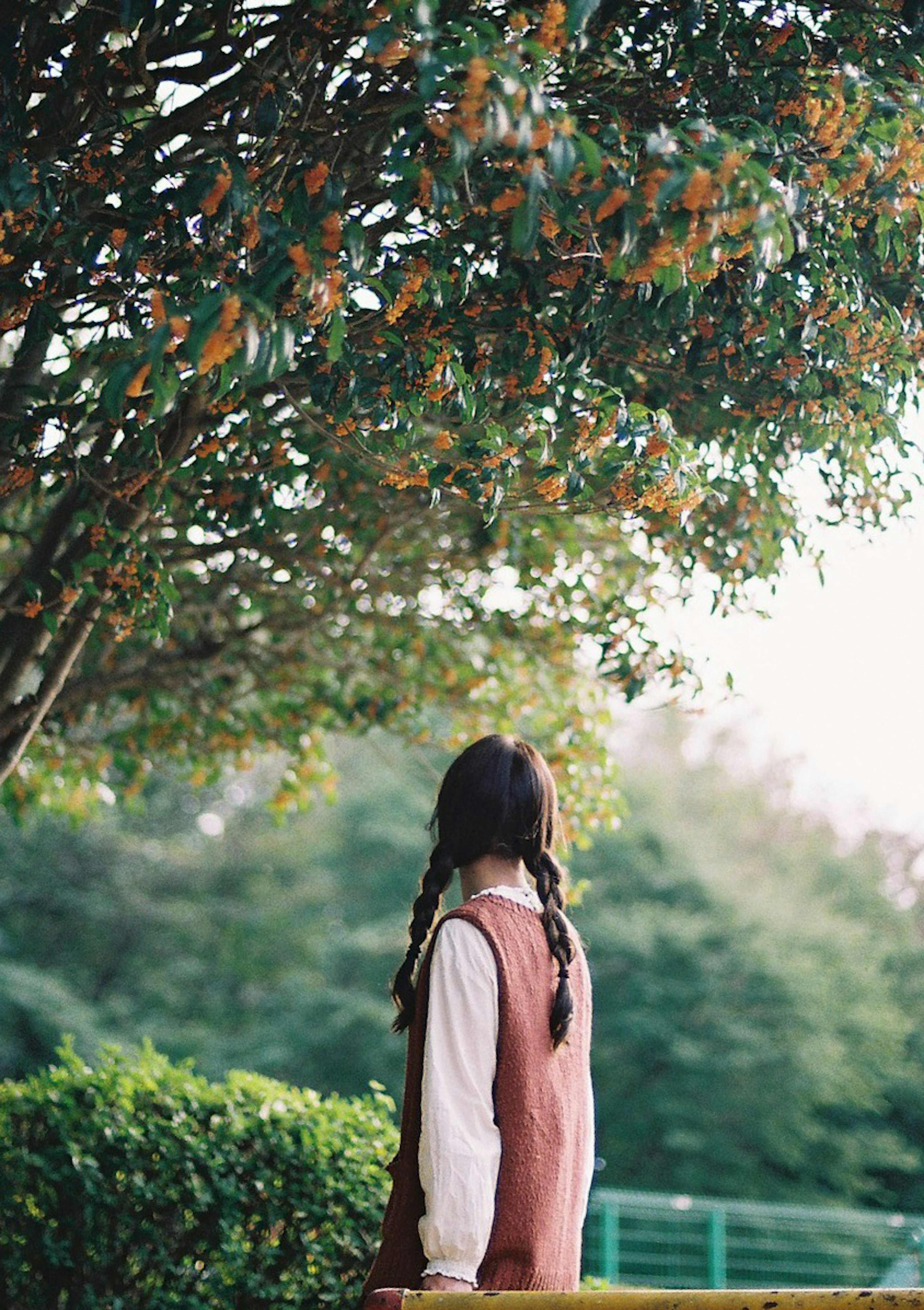 女性が木の下で振り返っている風景