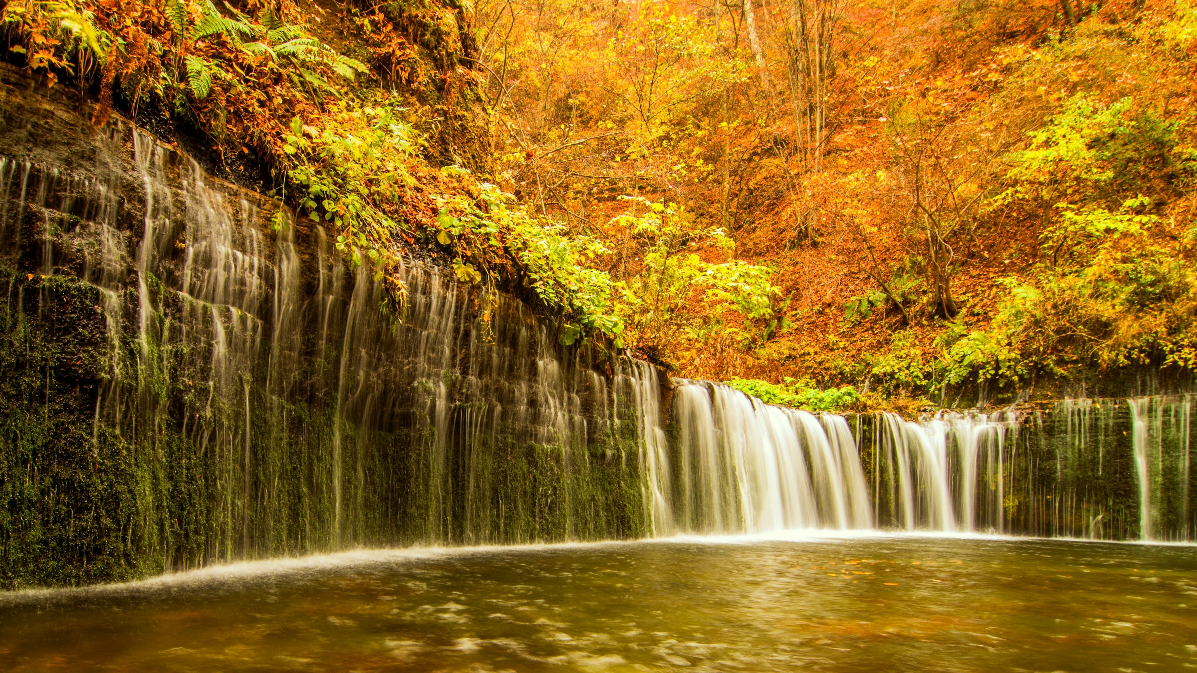 Ein ruhiger Teich umgeben von lebhaftem Herbstlaub und einem Wasserfall