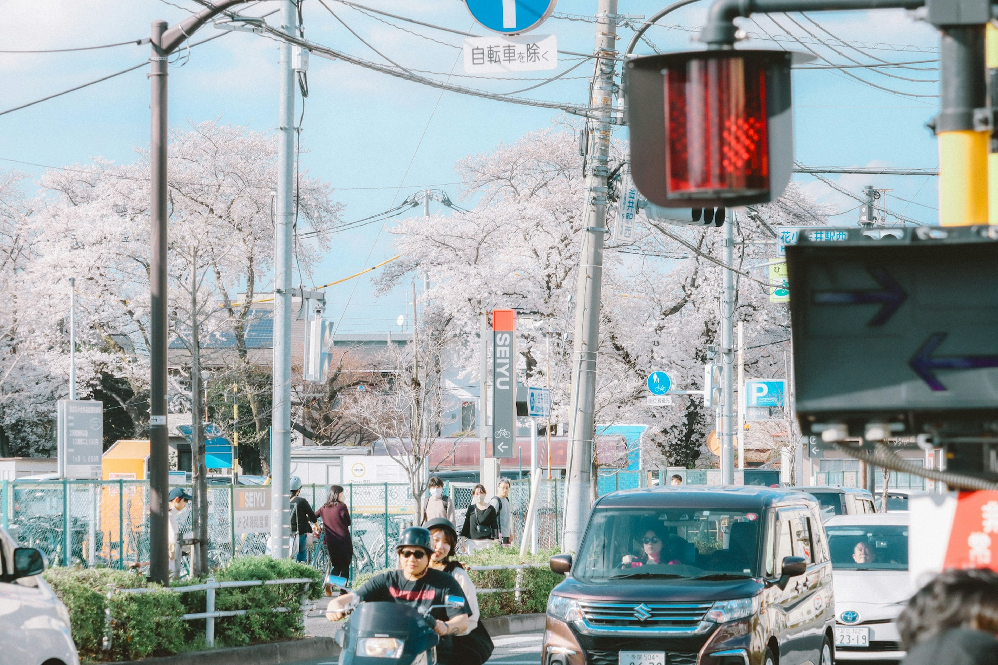 桜の木と信号機のある街の風景