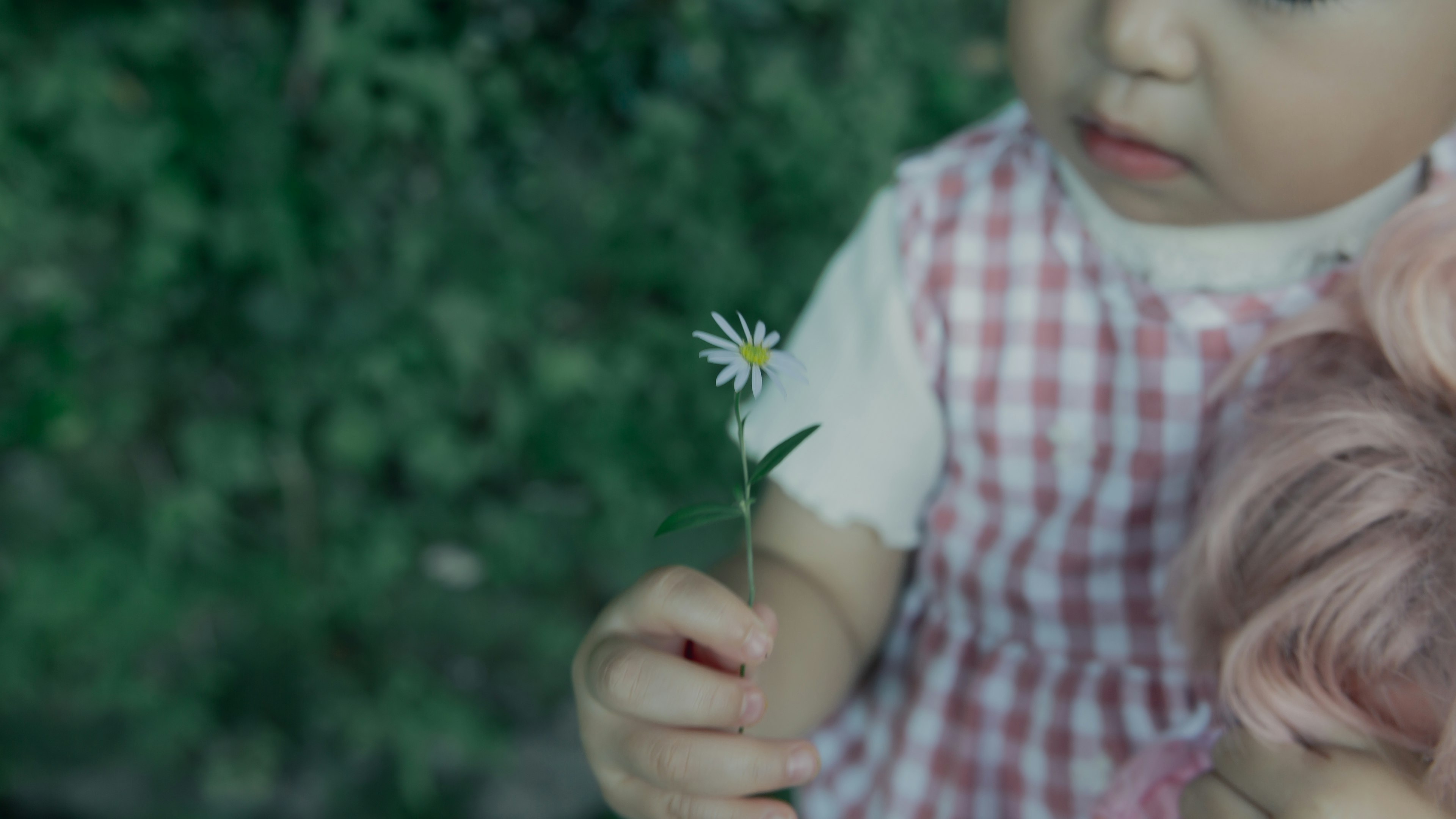 小さな子供が白い花を持っている風景