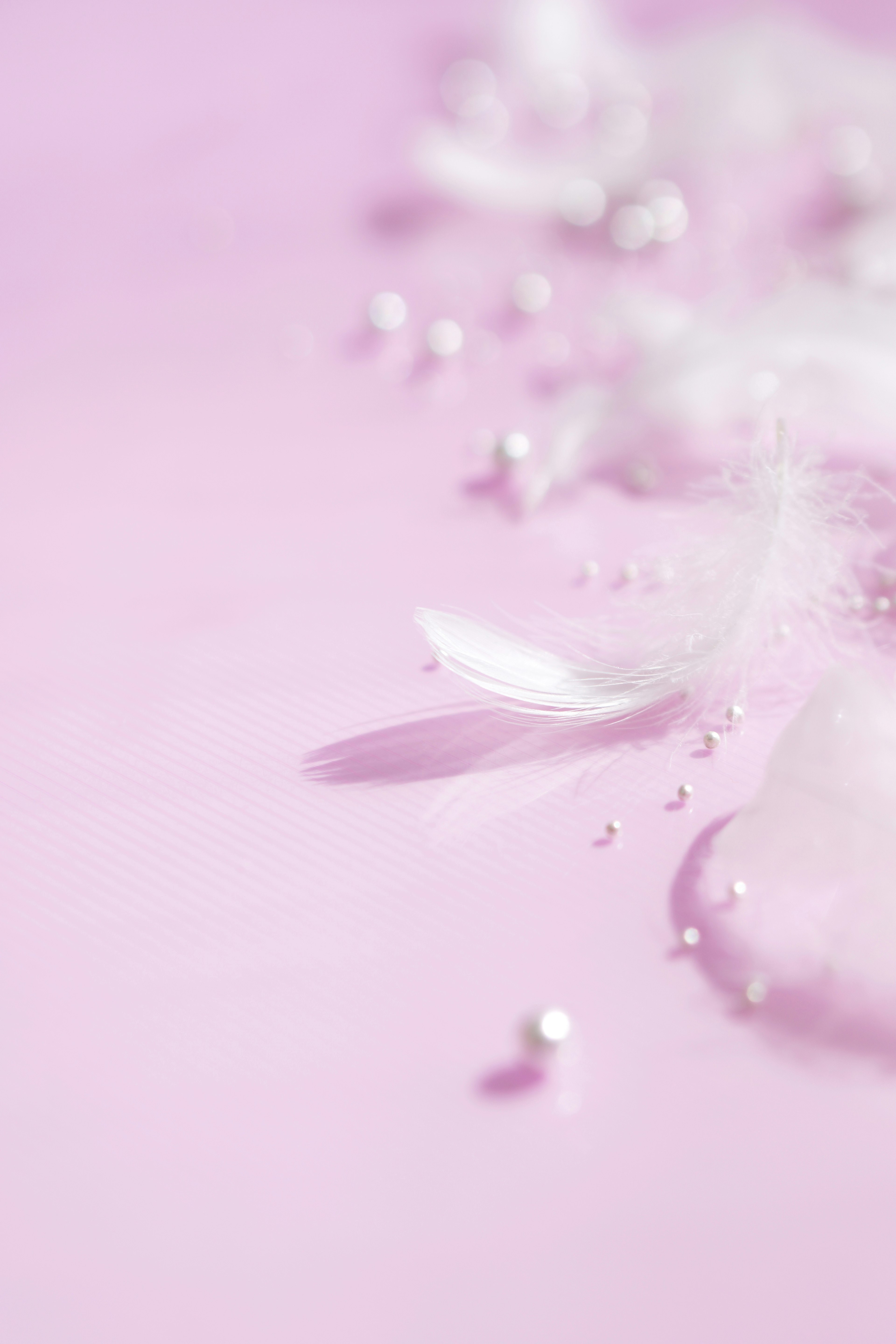 Delicate flower petals and pearls on a soft pink background