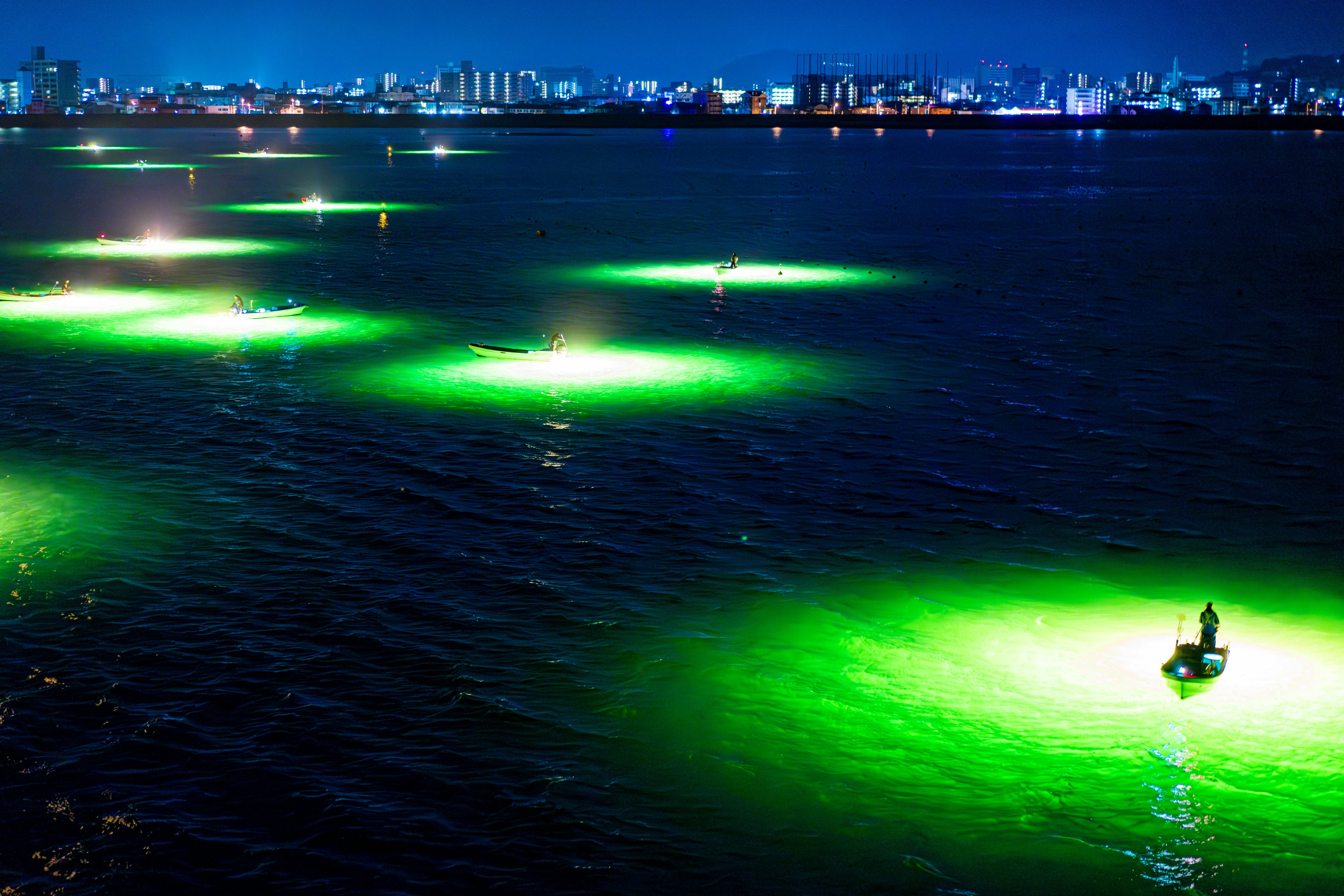 夜の水面に浮かぶ緑色の光と都市の明かり