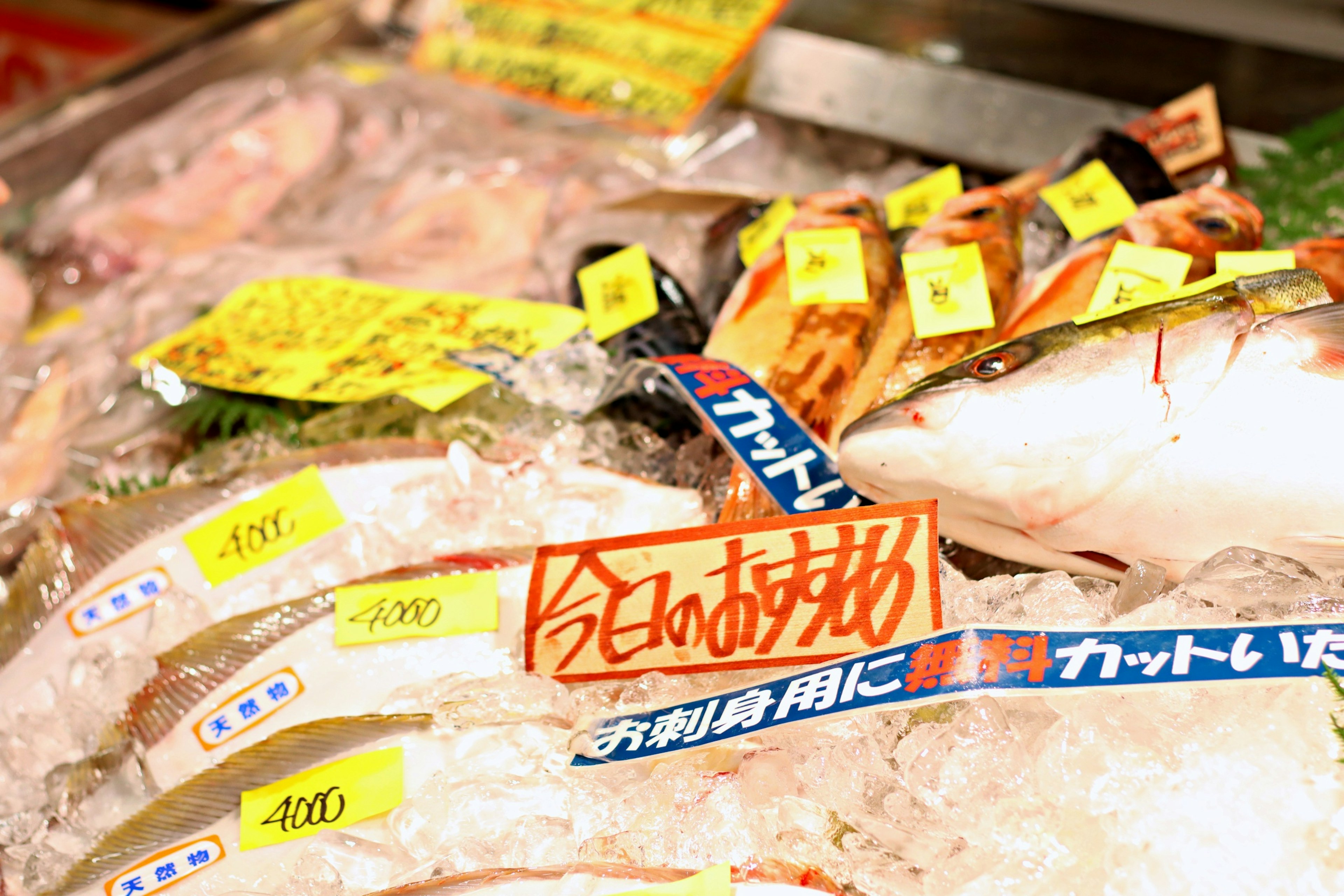 Fresh fish displayed at a market with various price tags