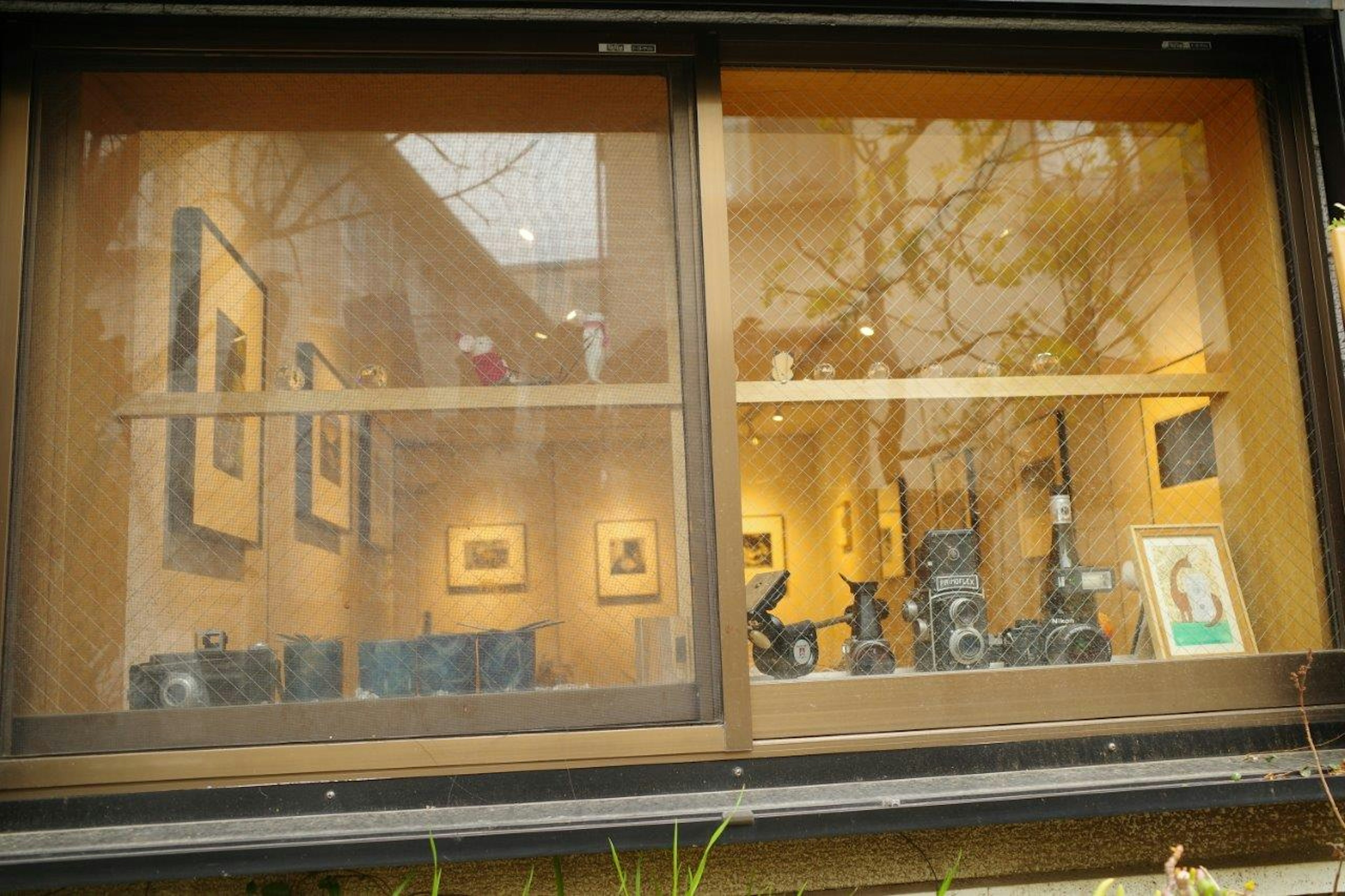 Interior view of an art gallery visible through a window