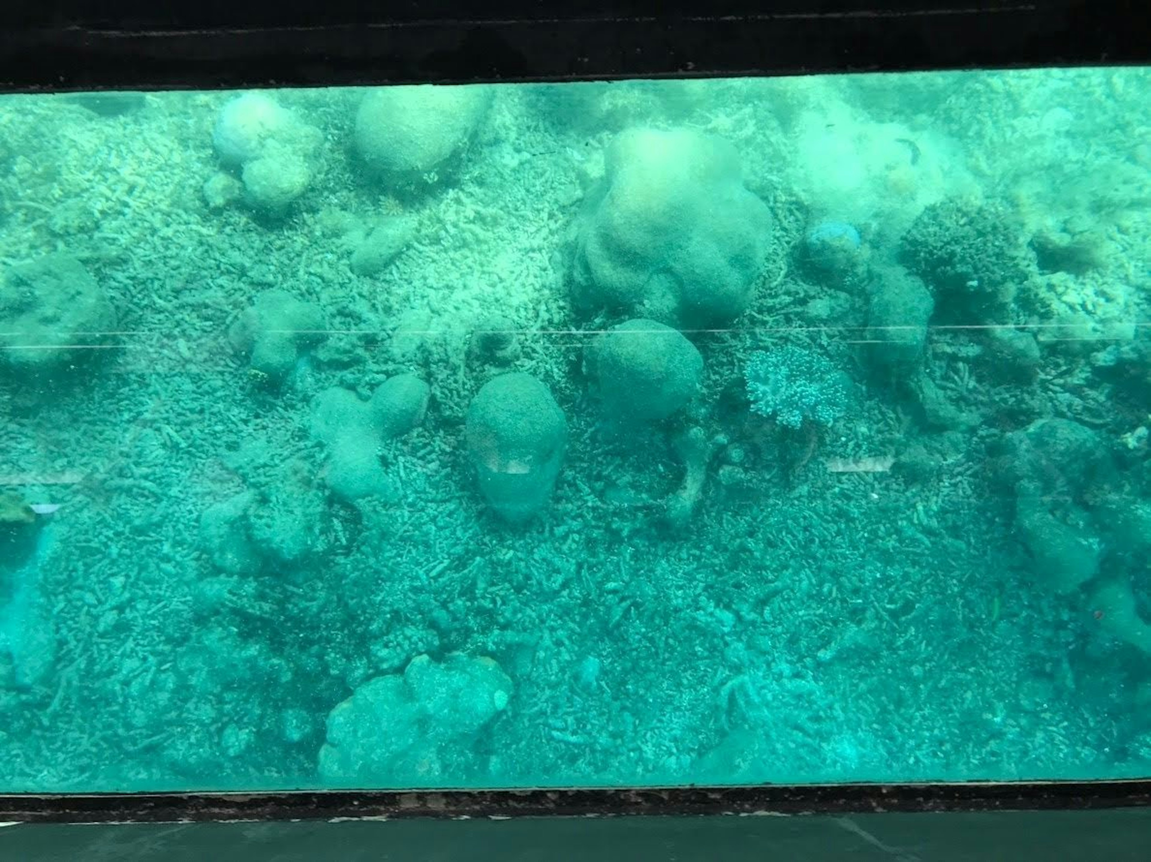 Underwater image showcasing coral reefs and rocky landscape