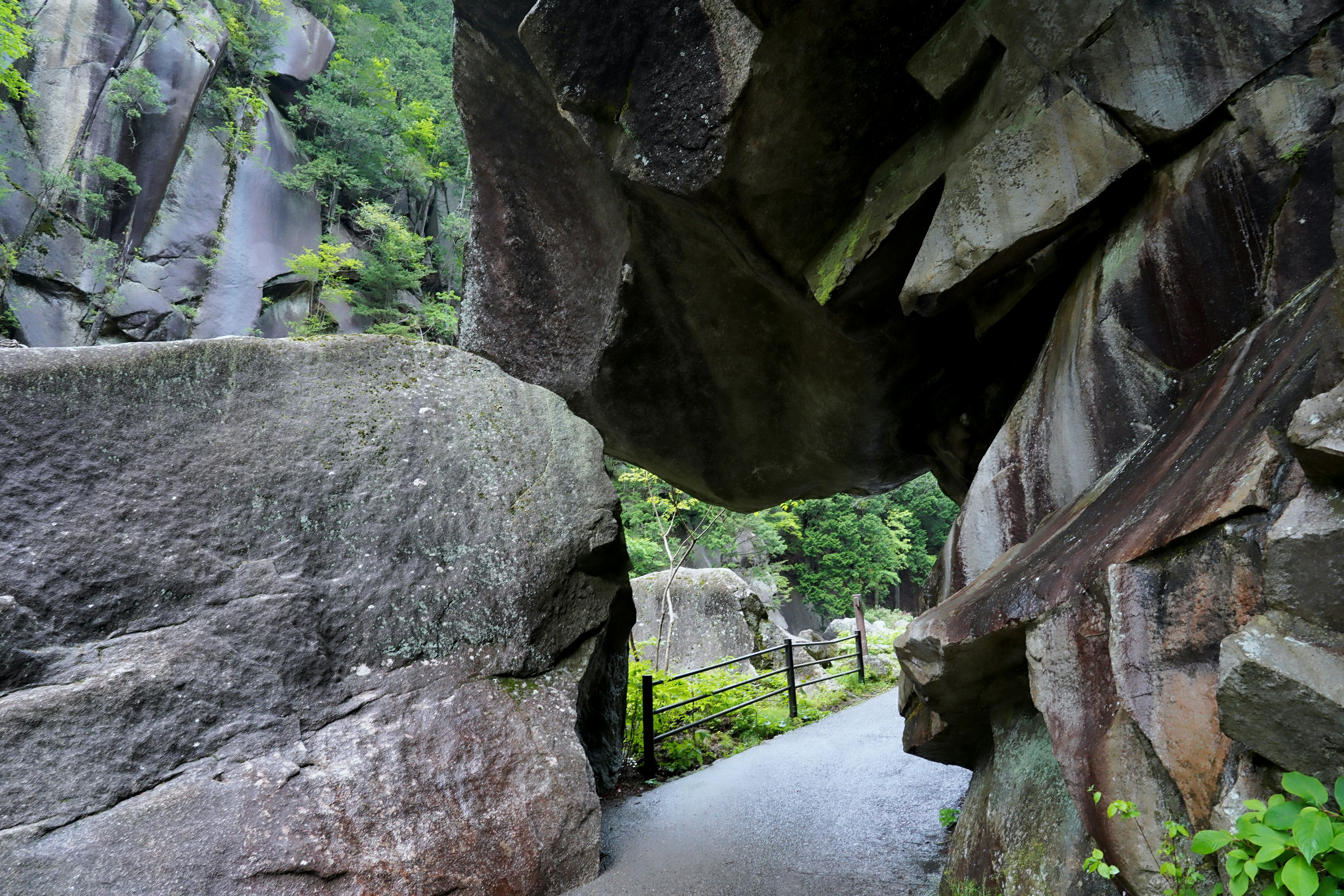 Pathway between large rocks with lush greenery