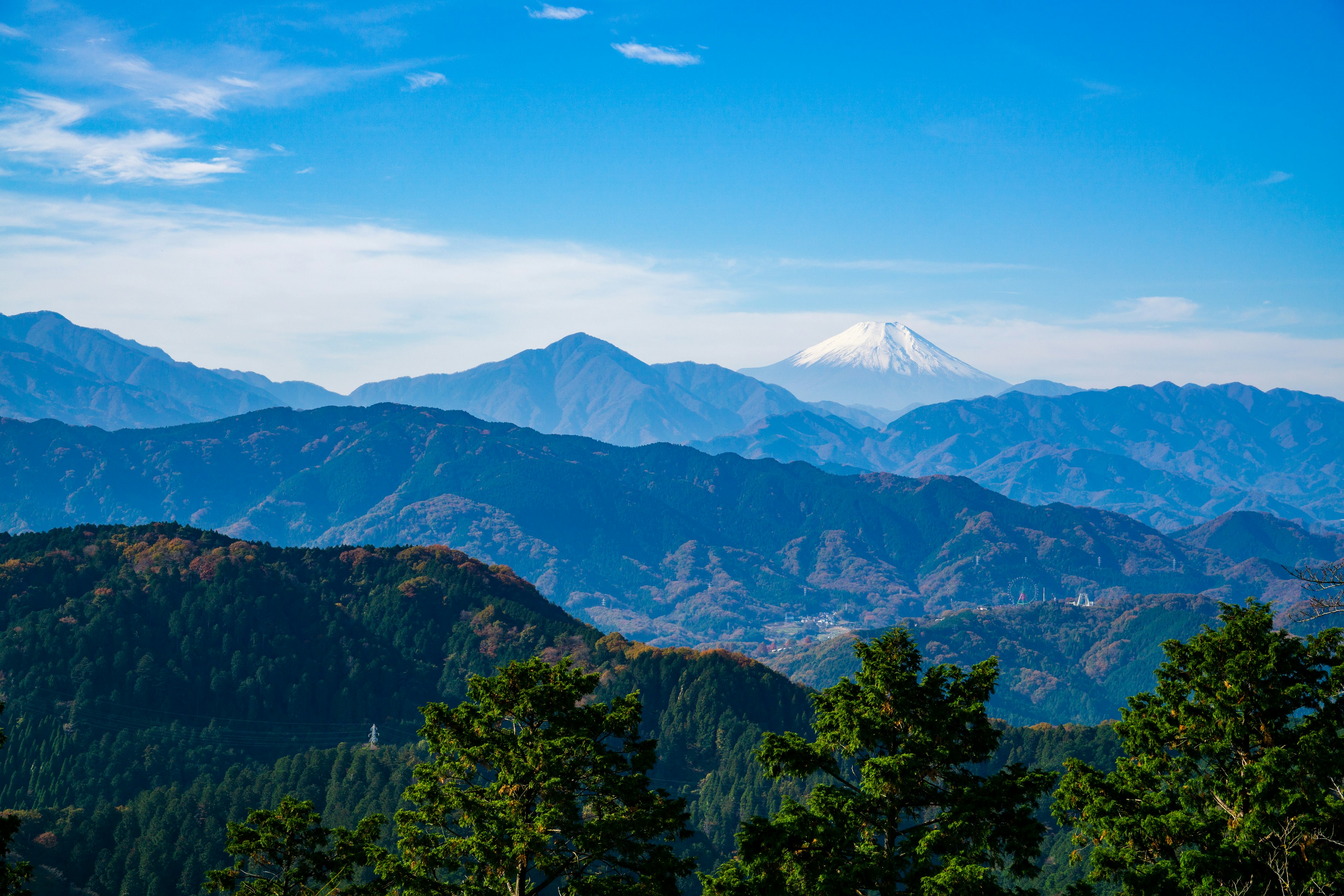 蓝天下的雪山风景，前景是绿色树木