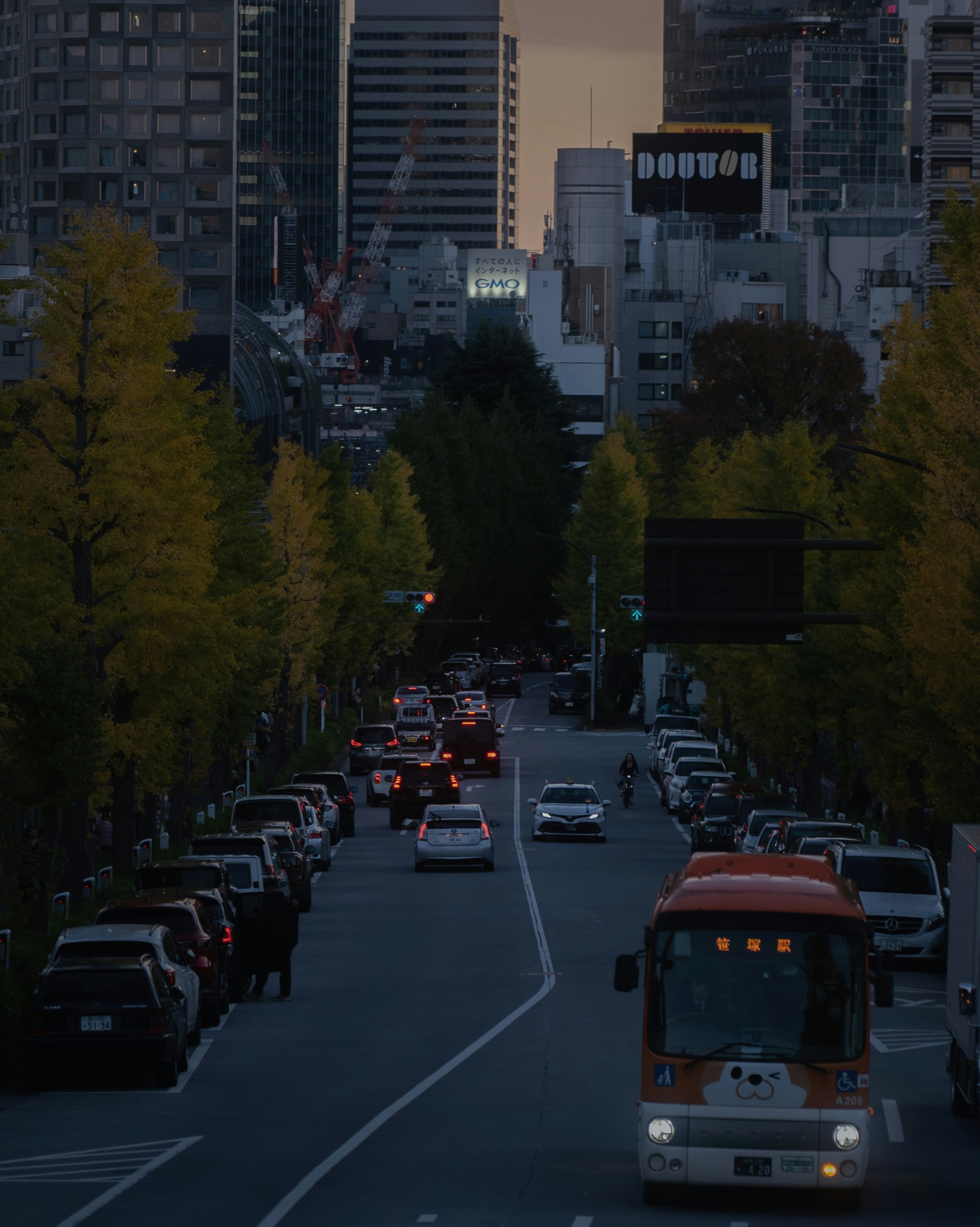 Urban landscape at dusk featuring vehicles and street trees