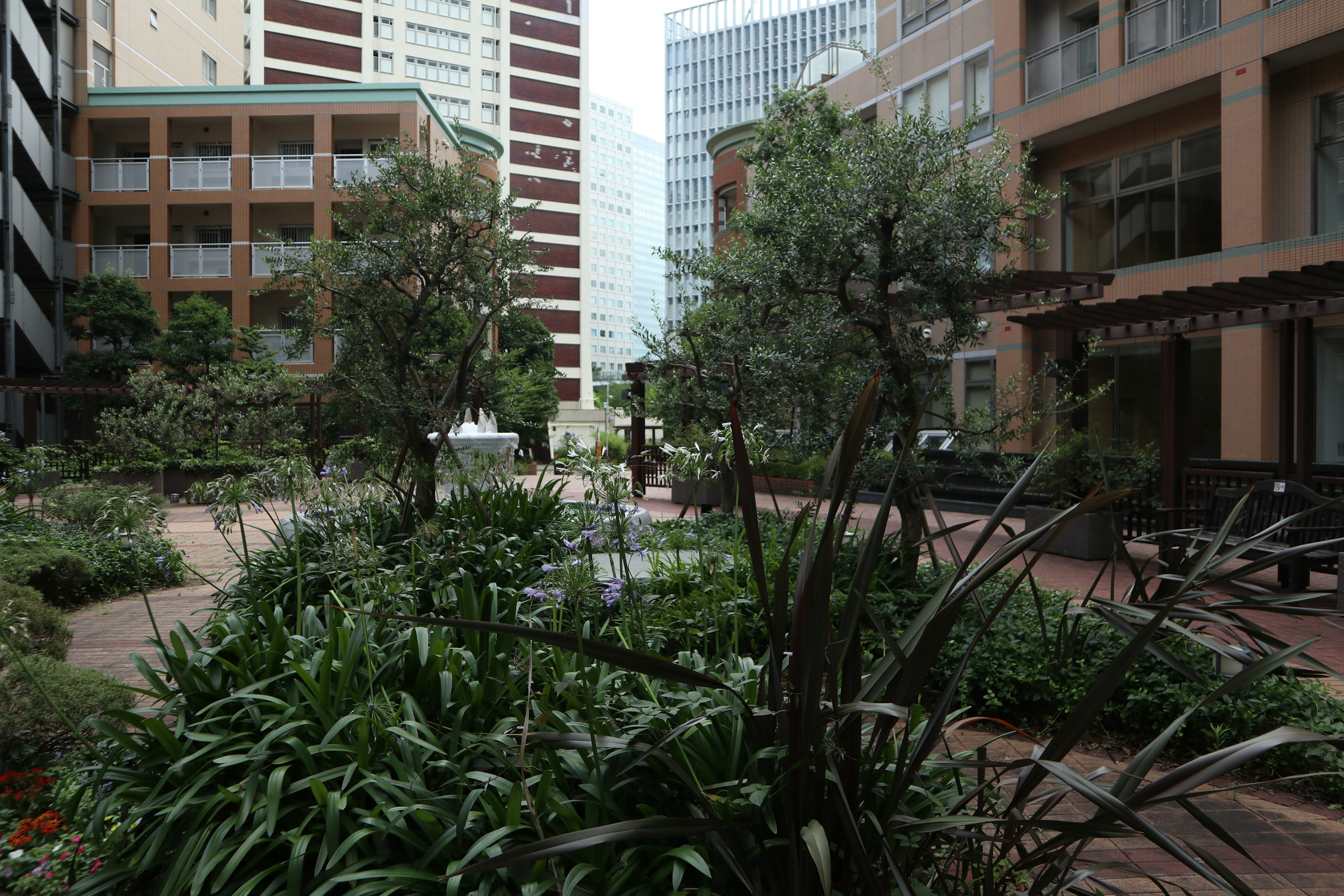 Patio exuberante rodeado de edificios con plantas y árboles en un área ajardinada