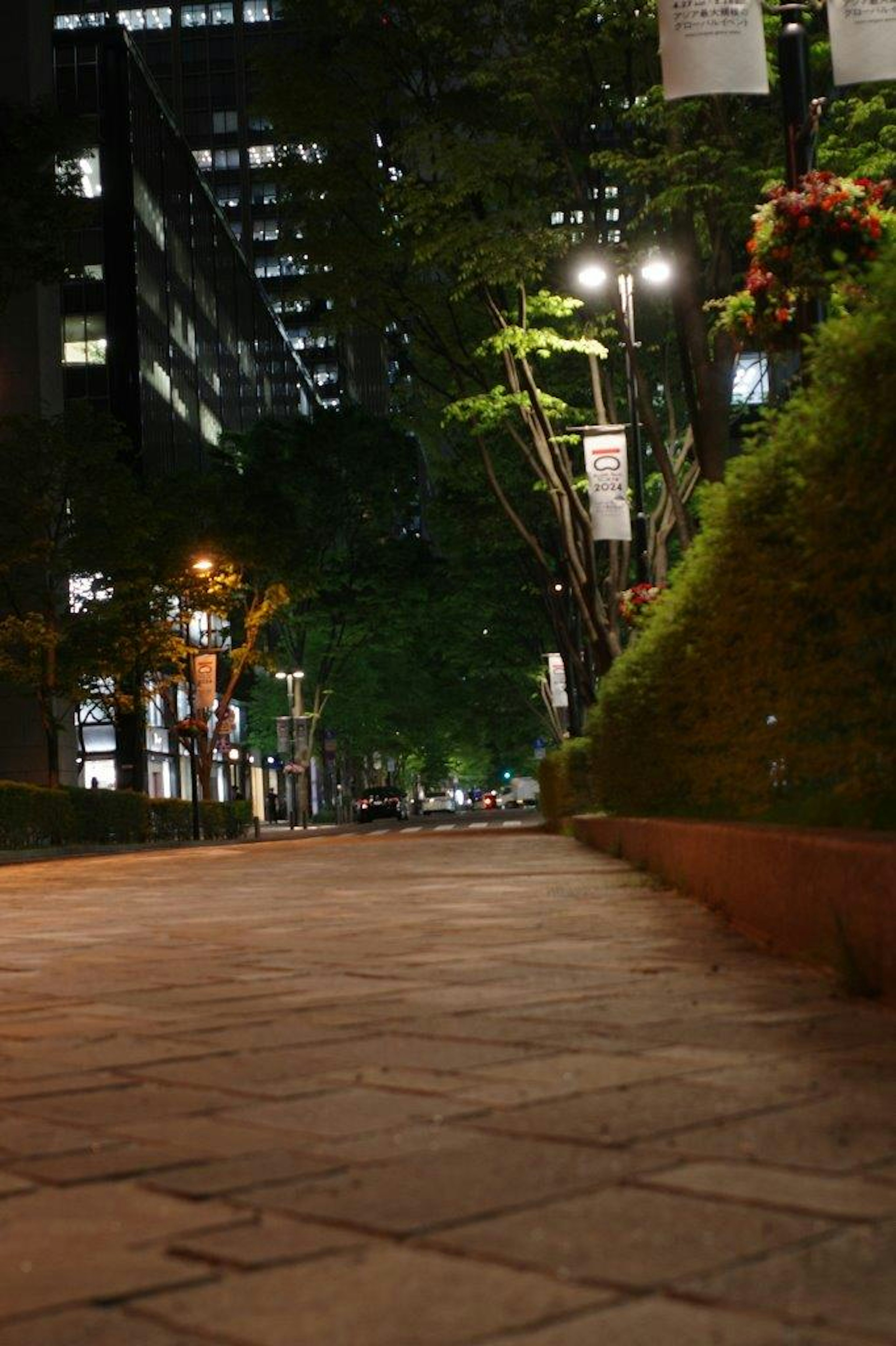 Escena de calle nocturna con camino de adoquines y árboles verdes a los lados