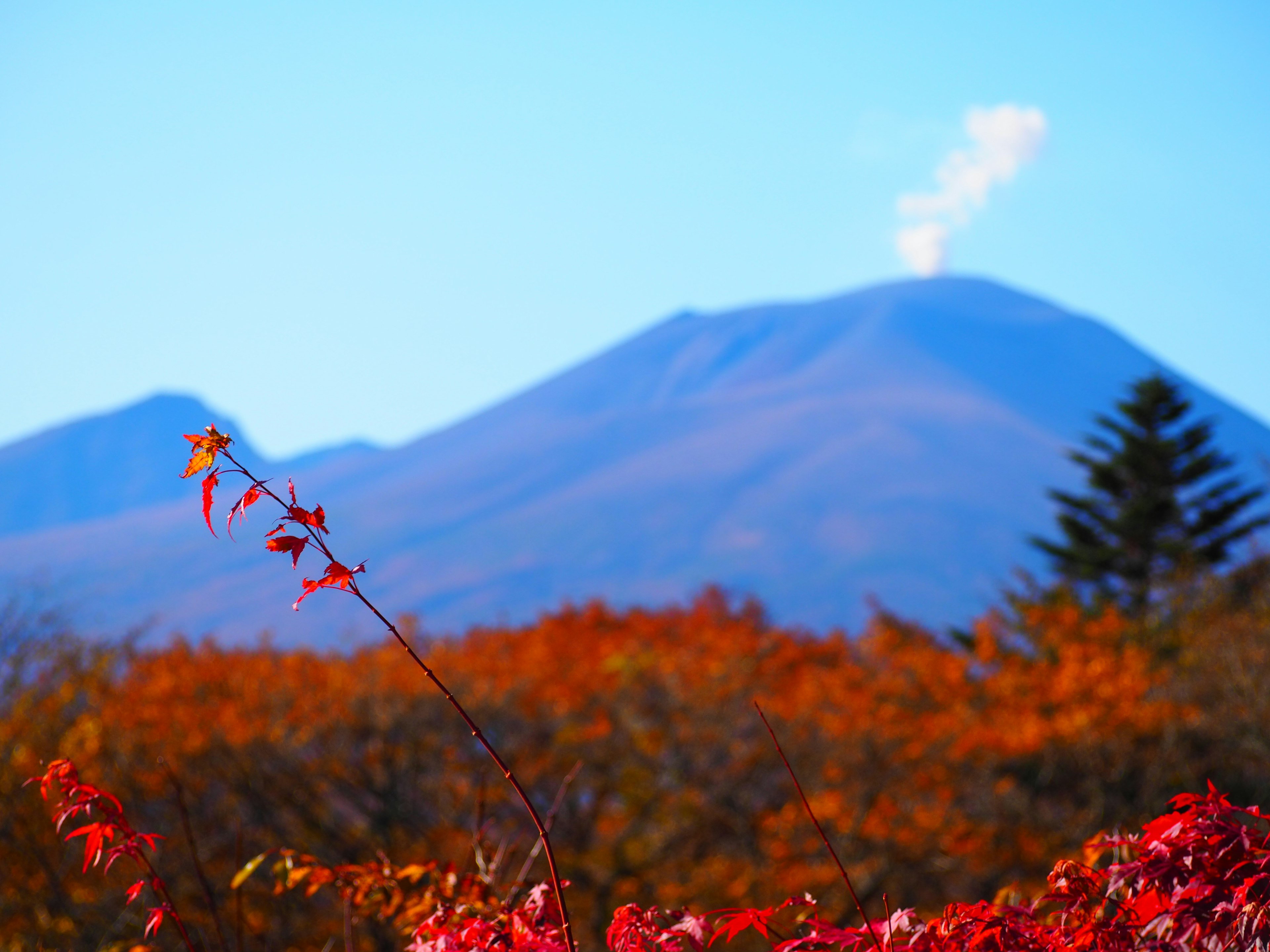 美しい紅葉の中に見える山と煙