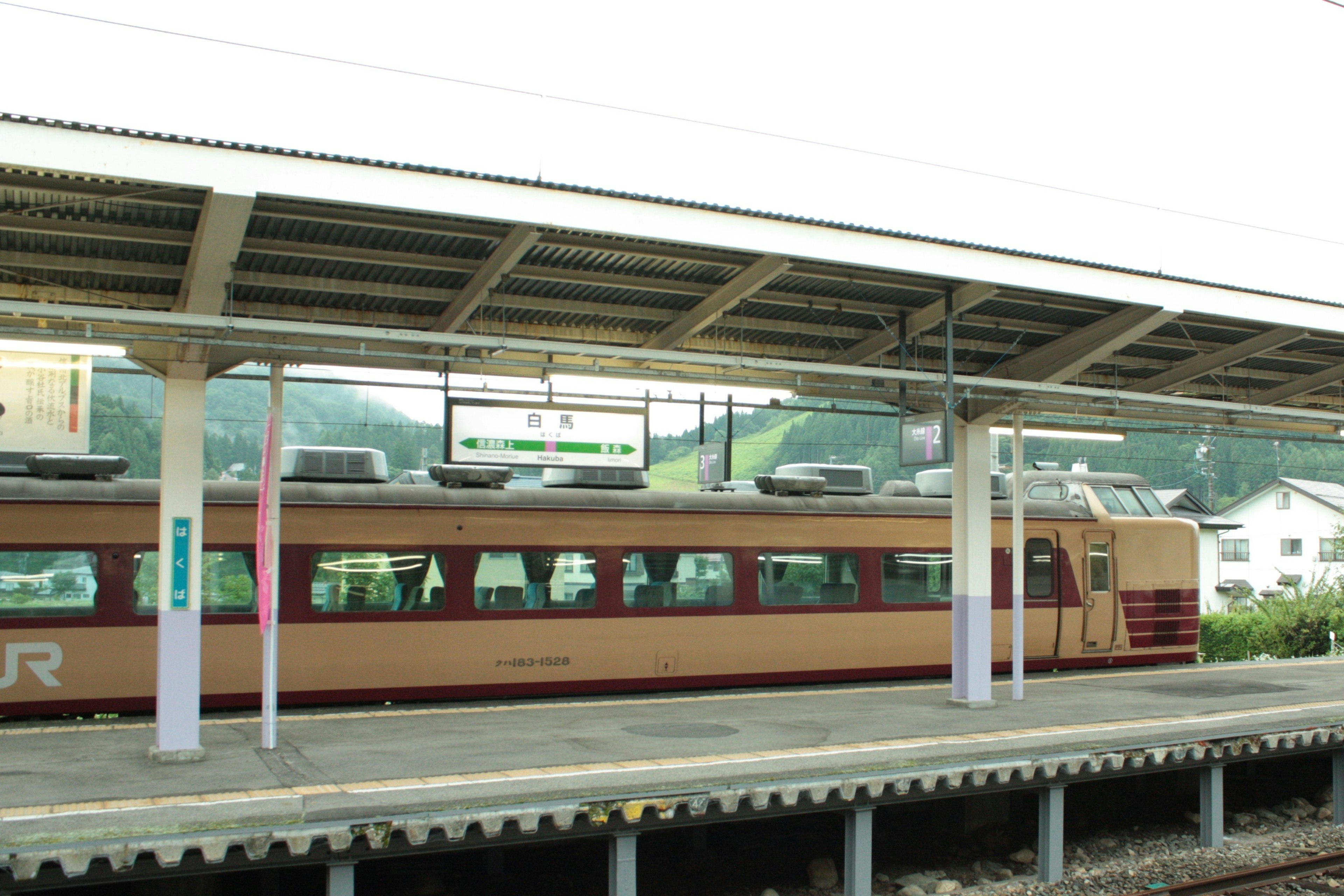 Brauner Zug an einem Bahnhof mit umliegender Landschaft