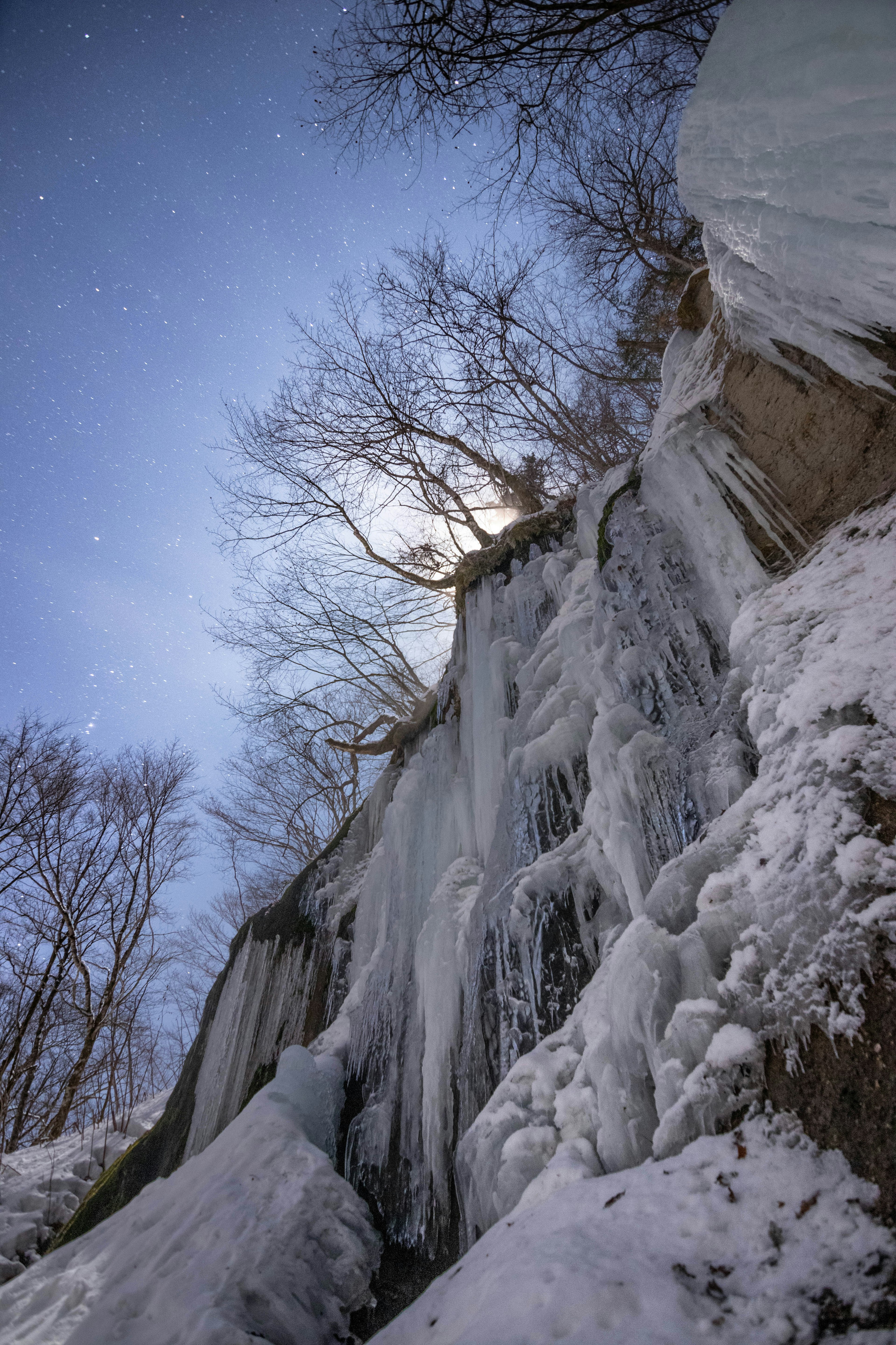 Escena invernal con una cascada de hielo y árboles cubiertos de nieve