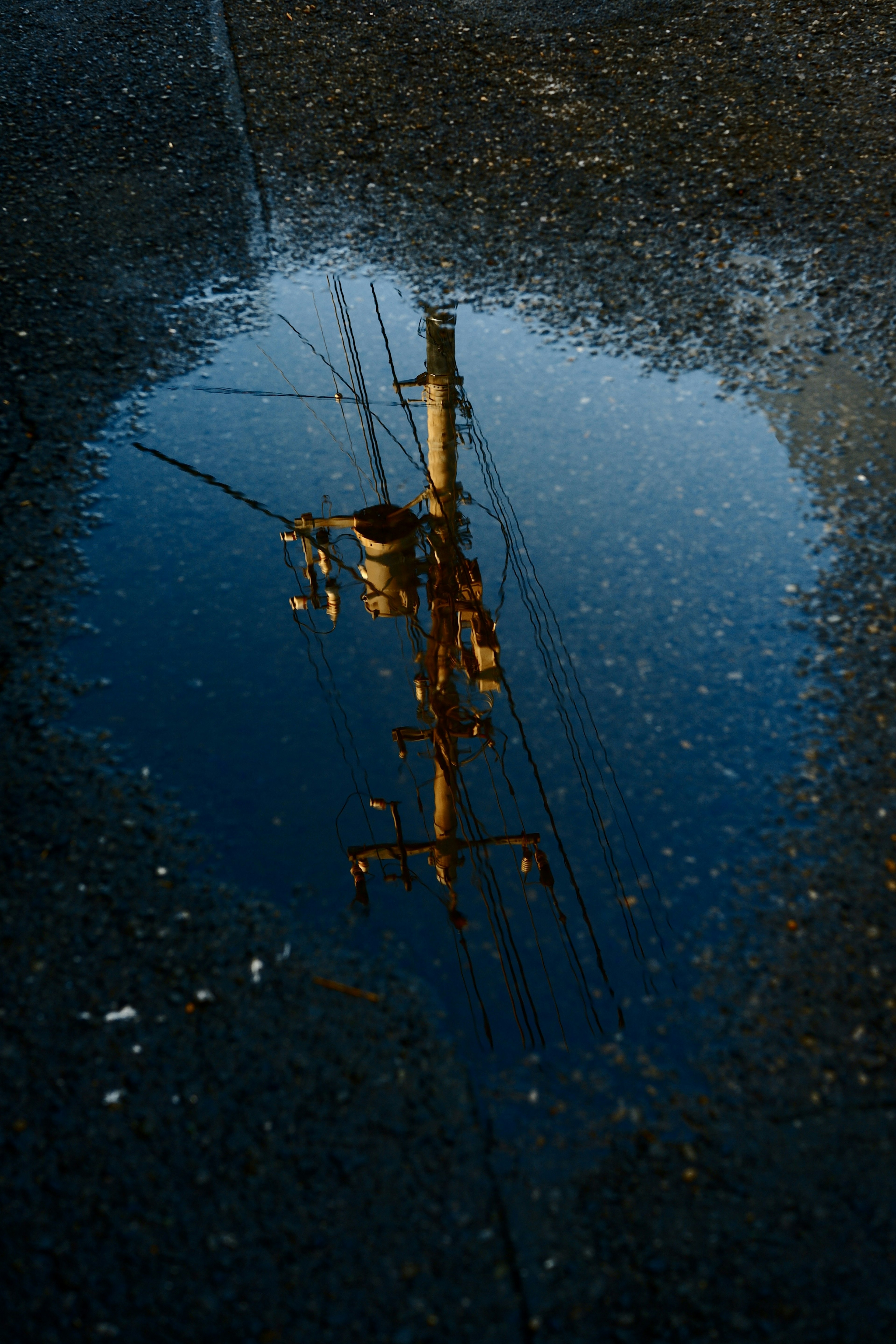 Reflection of a utility pole and wires in a puddle