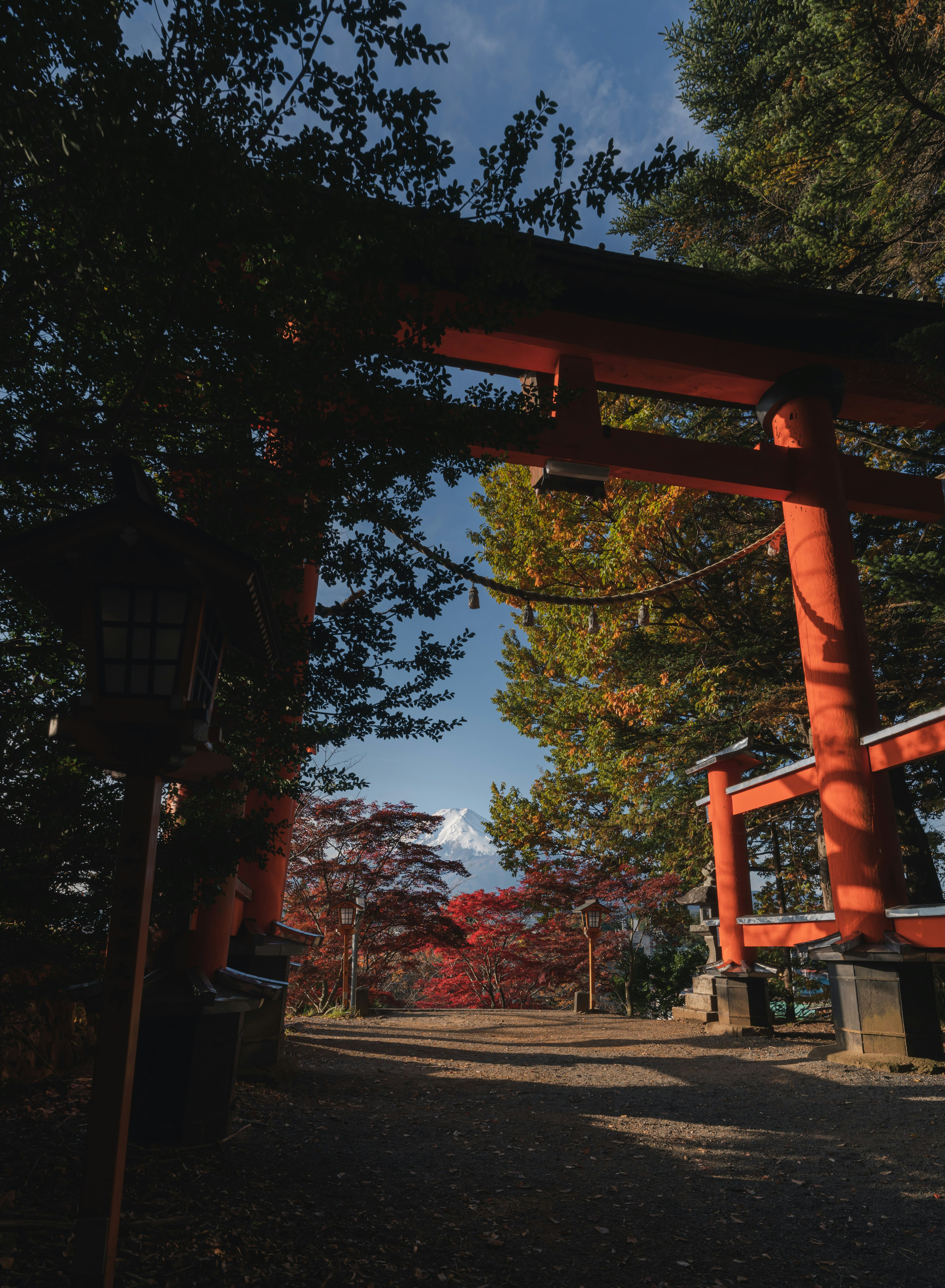 赤い鳥居と色づいた木々の秋の風景