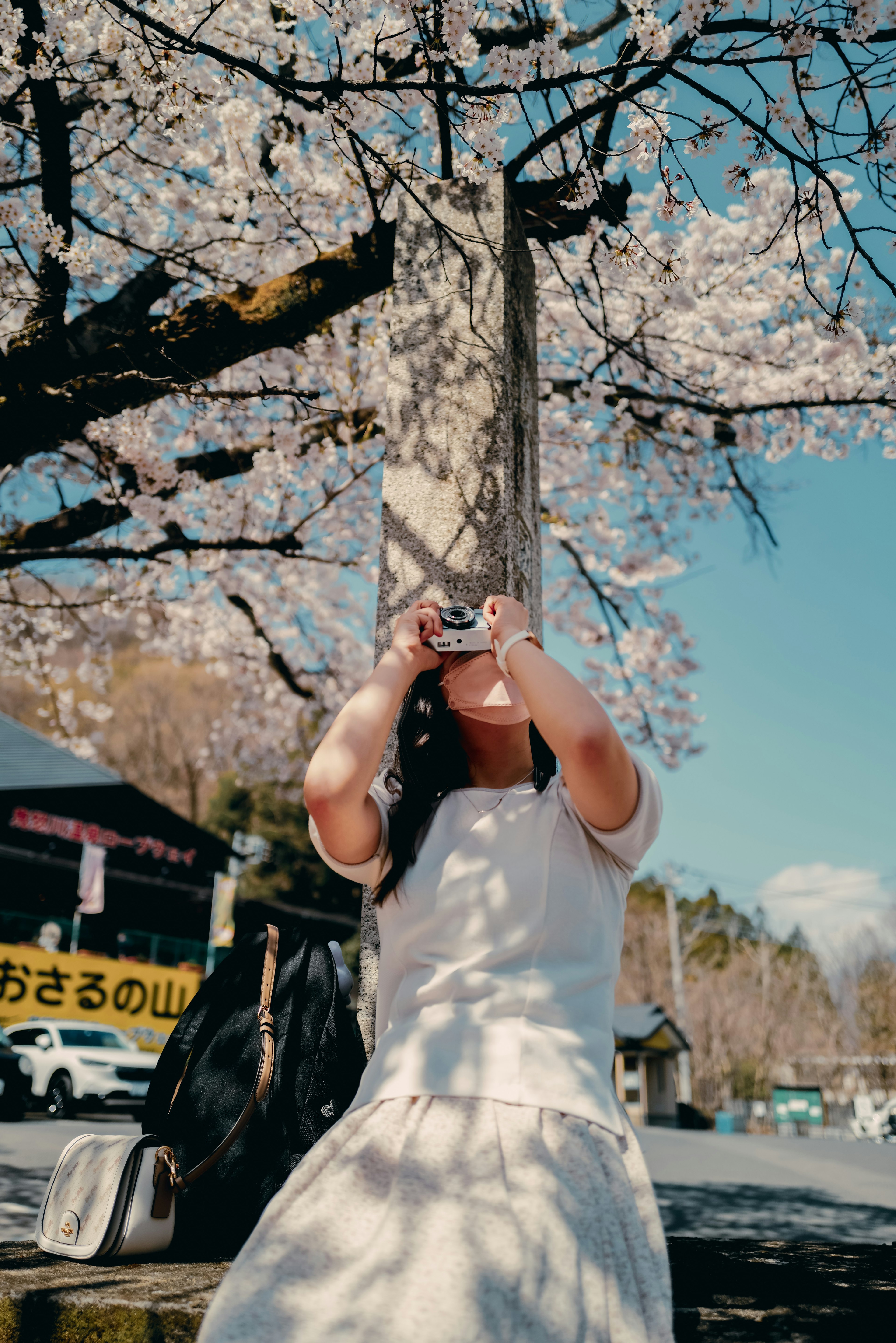 Wanita duduk di bawah pohon sakura memegang kamera