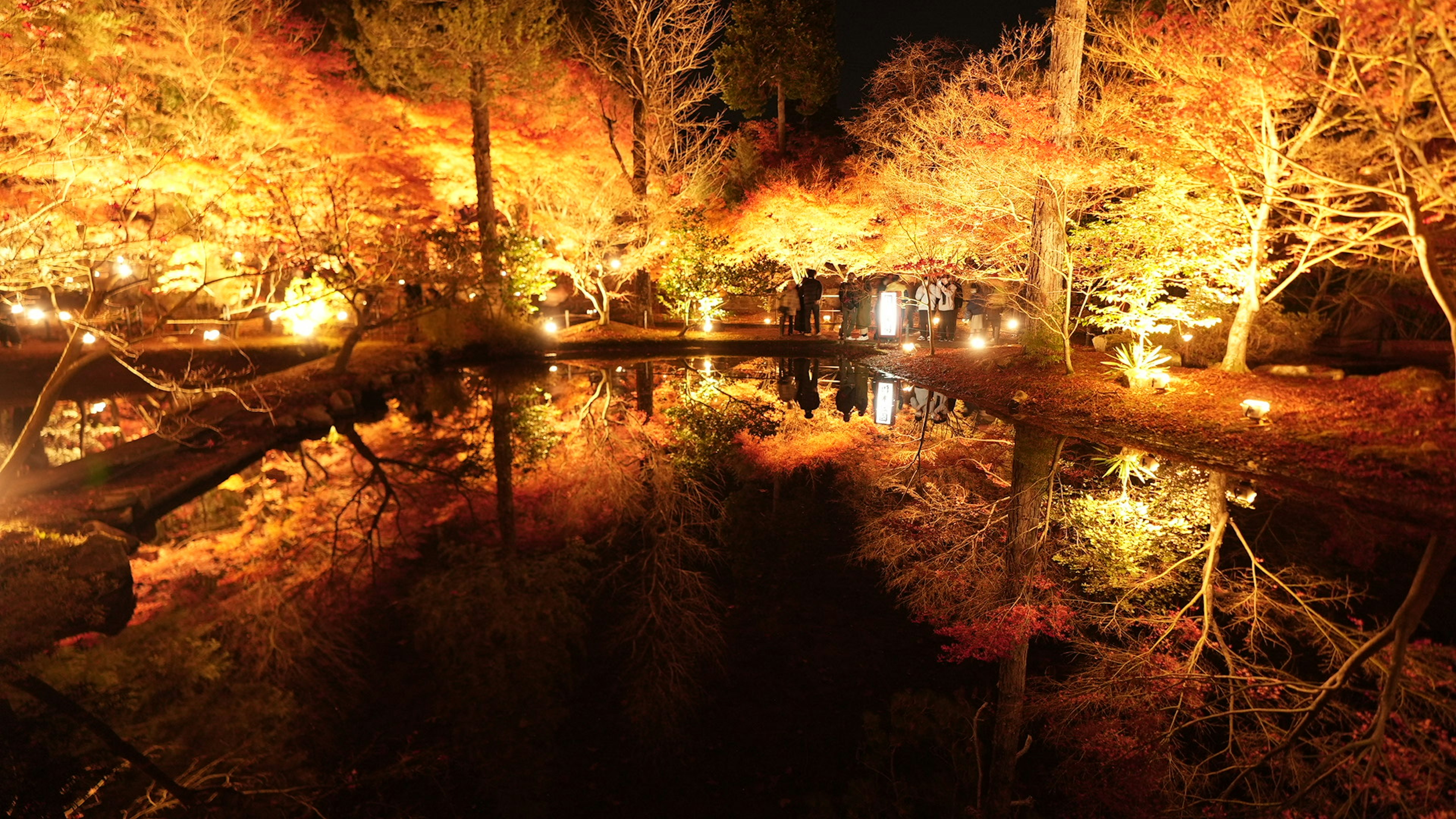 夜の池の周りに紅葉した木々の美しい反映