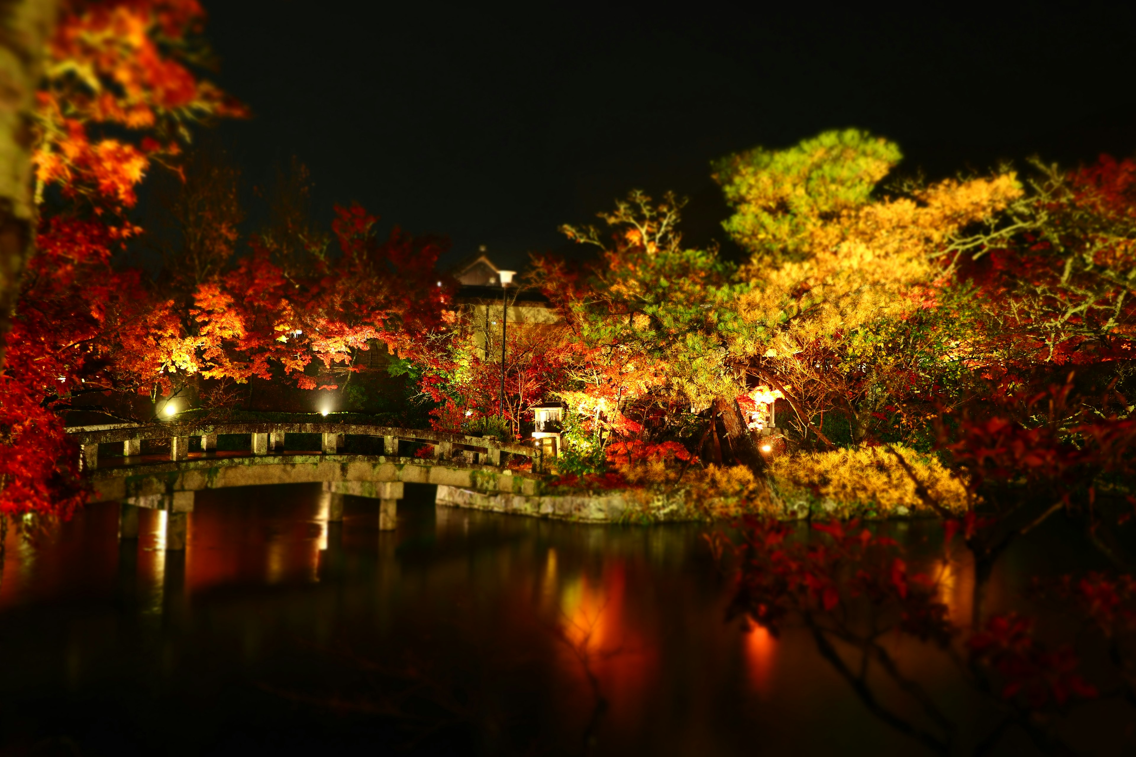 Vista nocturna de un jardín japonés con vibrante follaje otoñal