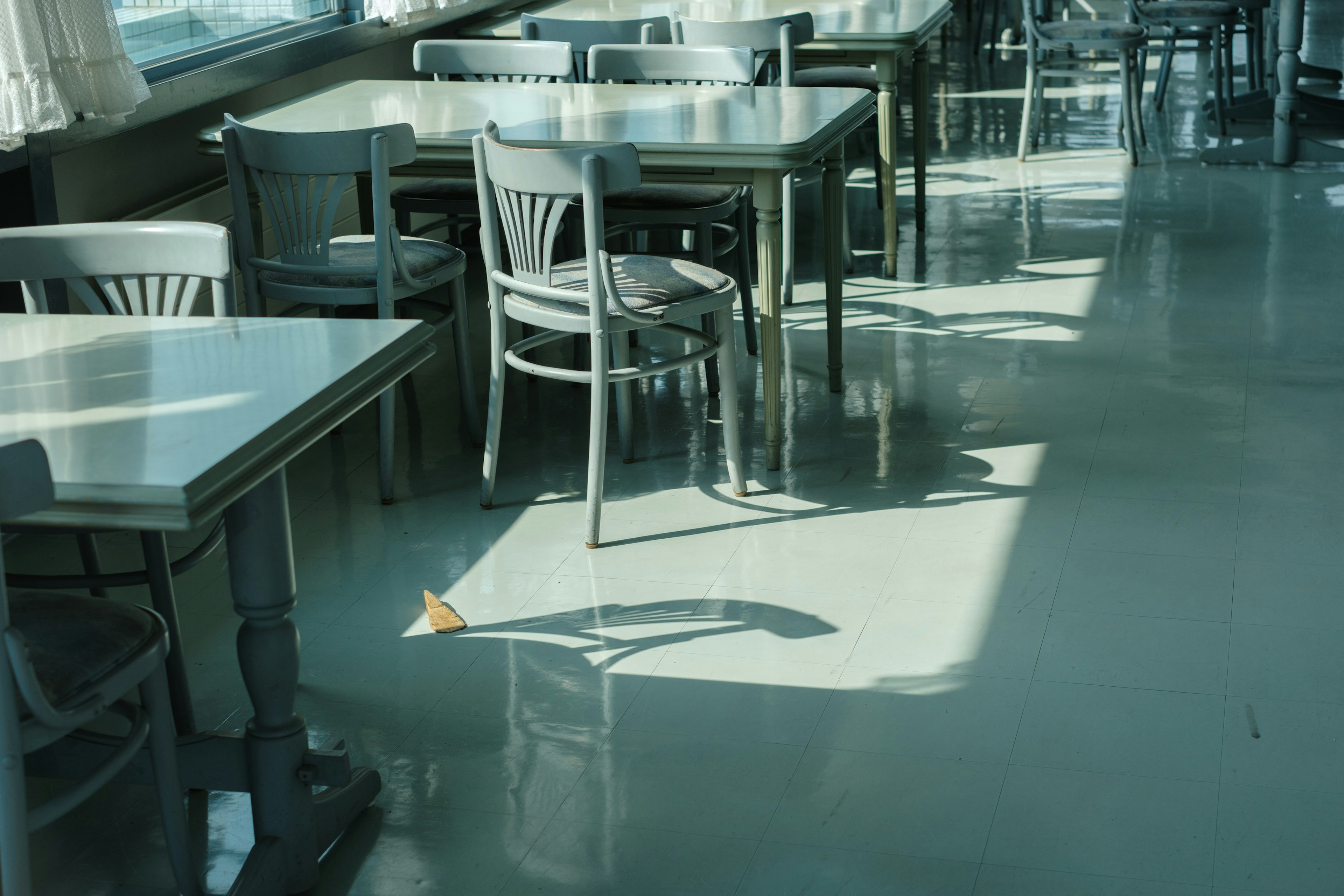 Interior de una cafetería luminosa con mesas y sillas mostrando la sombra de un pez en el suelo