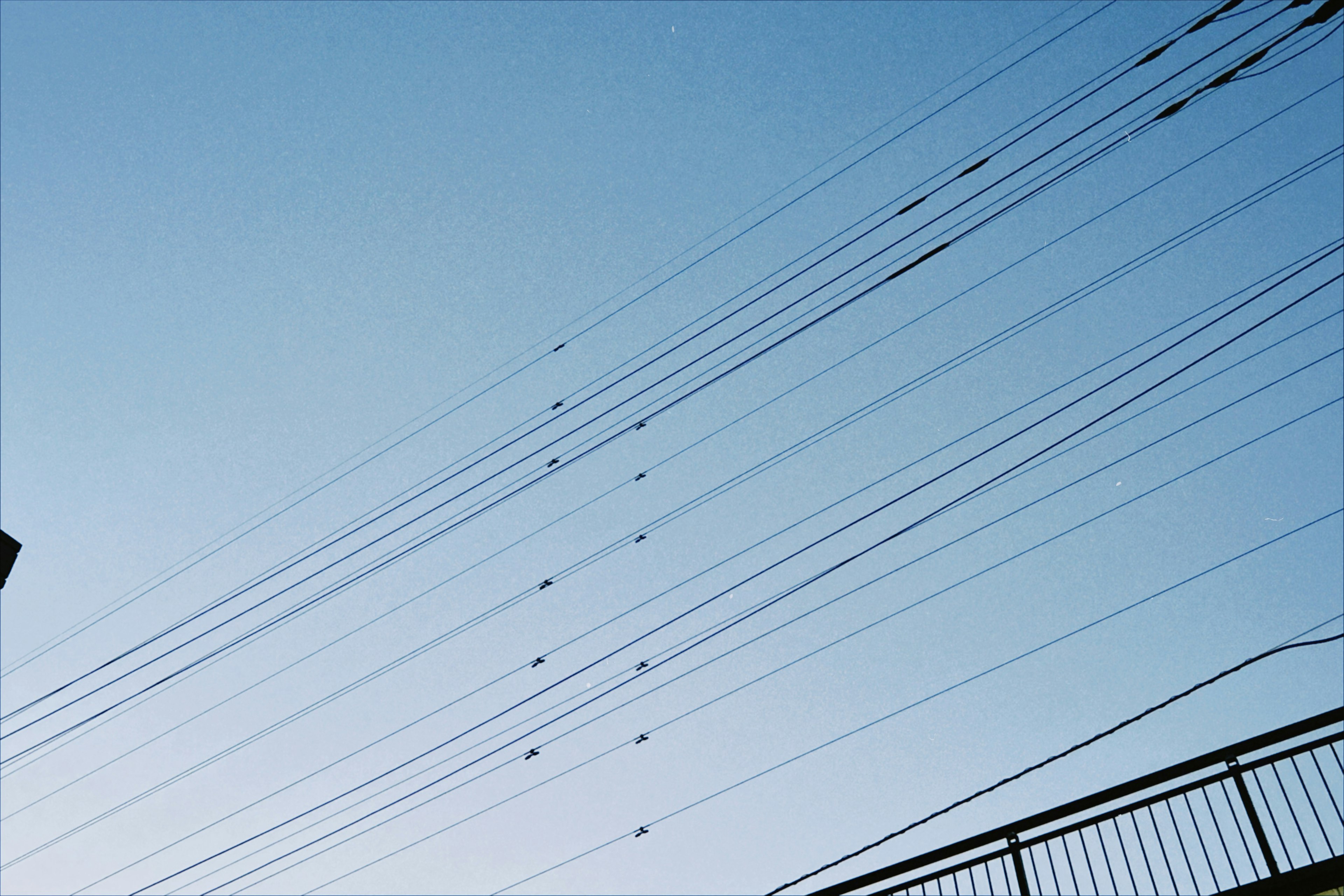 View of power lines stretching against a blue sky with a metal railing