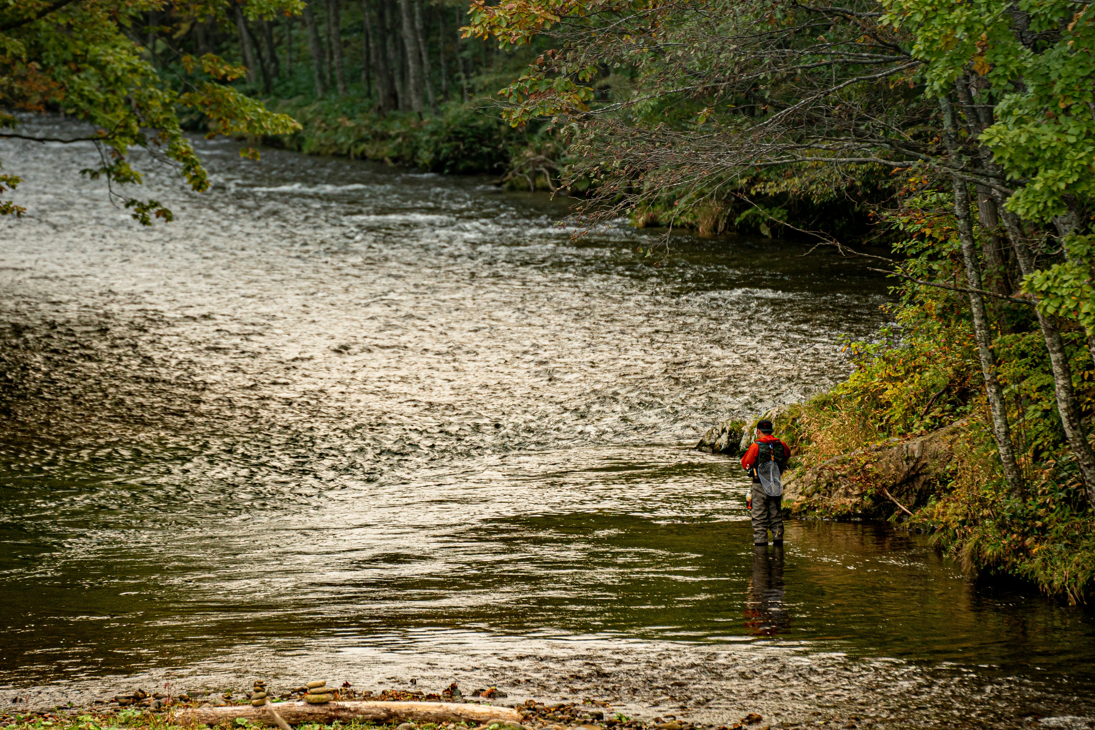 A person fishing in a calm river surrounded by trees