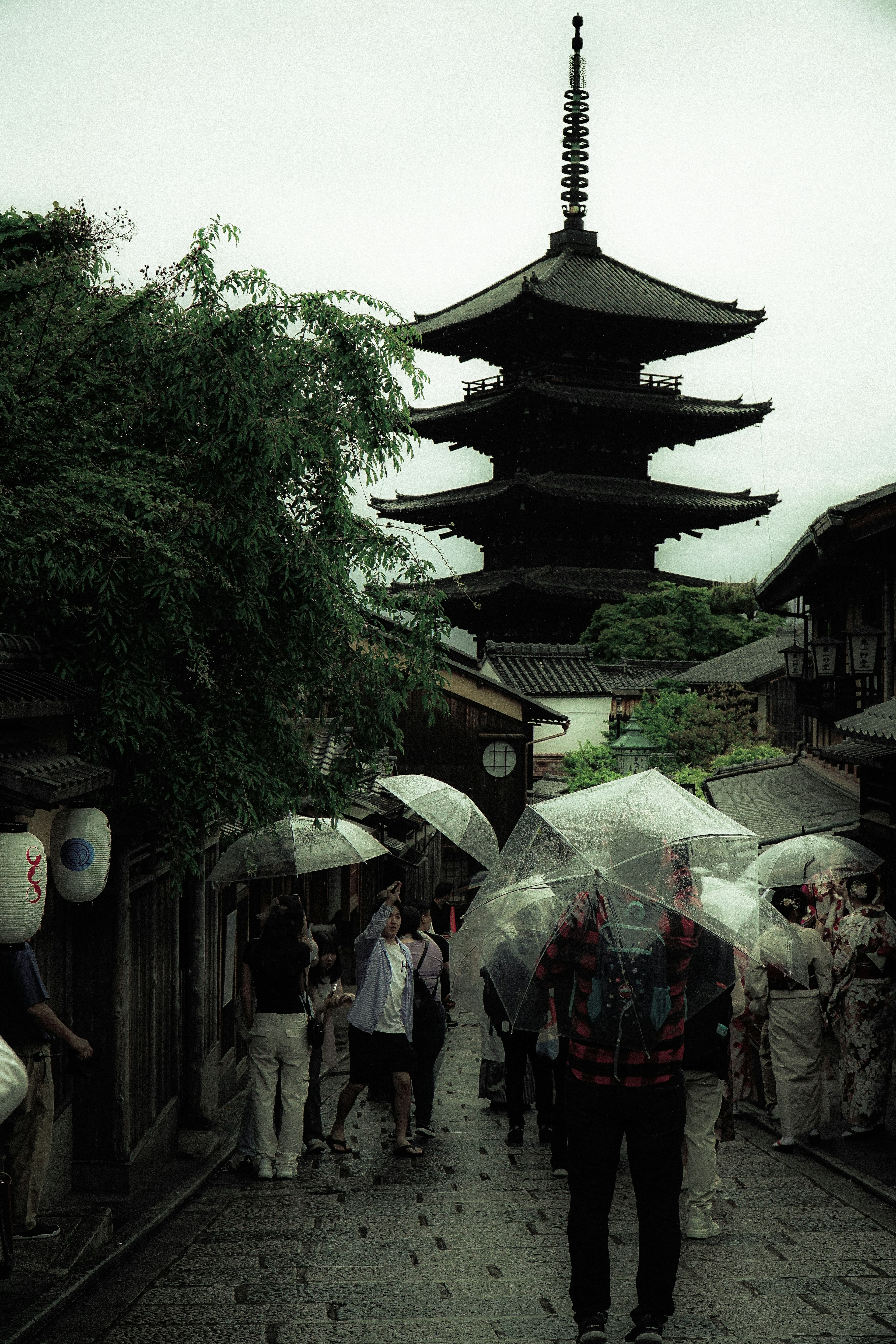 雨の日の京都の街並みと五重塔を背景に傘を持った観光客たちが歩いている