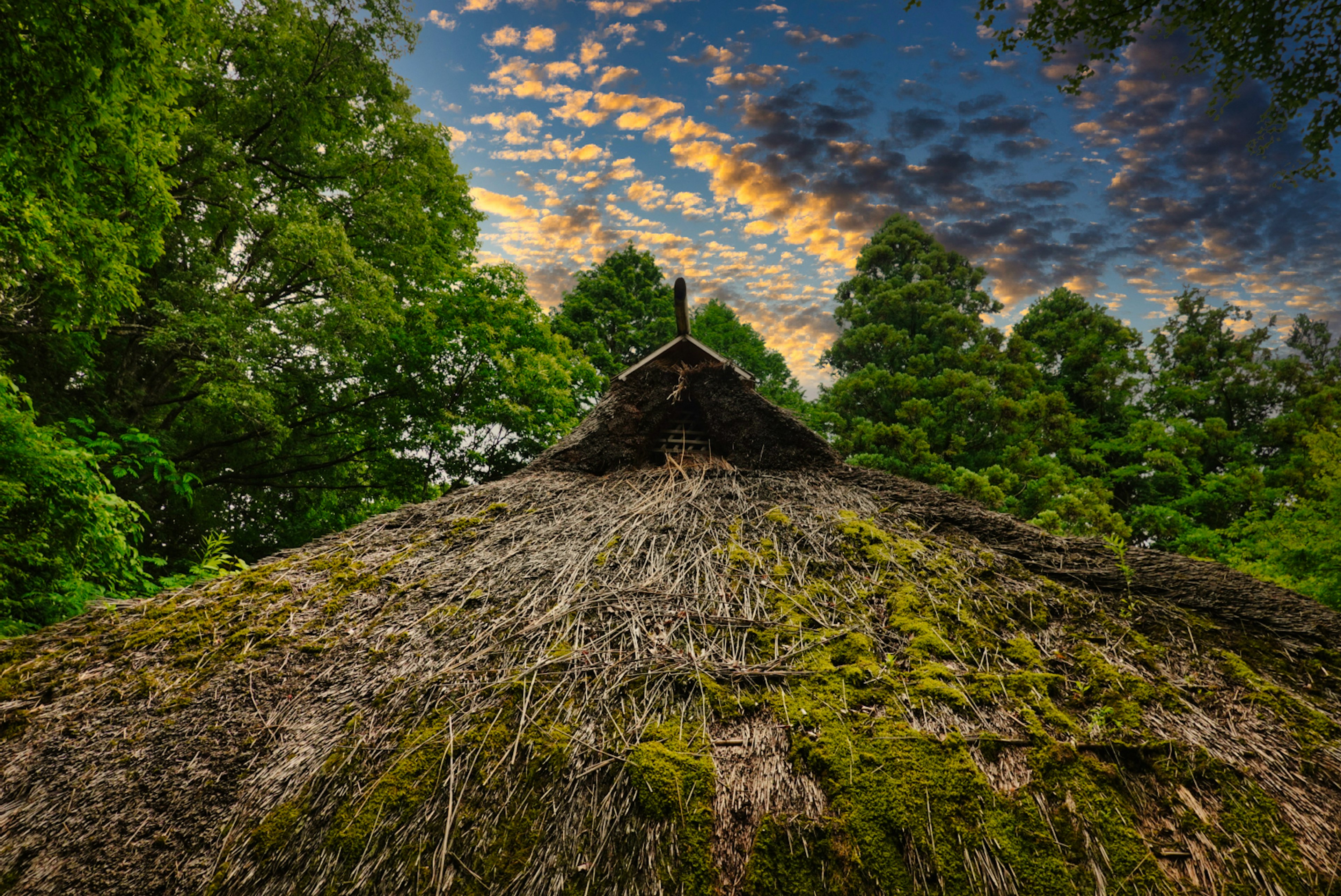 View from below a thatched roof house surrounded by lush green trees