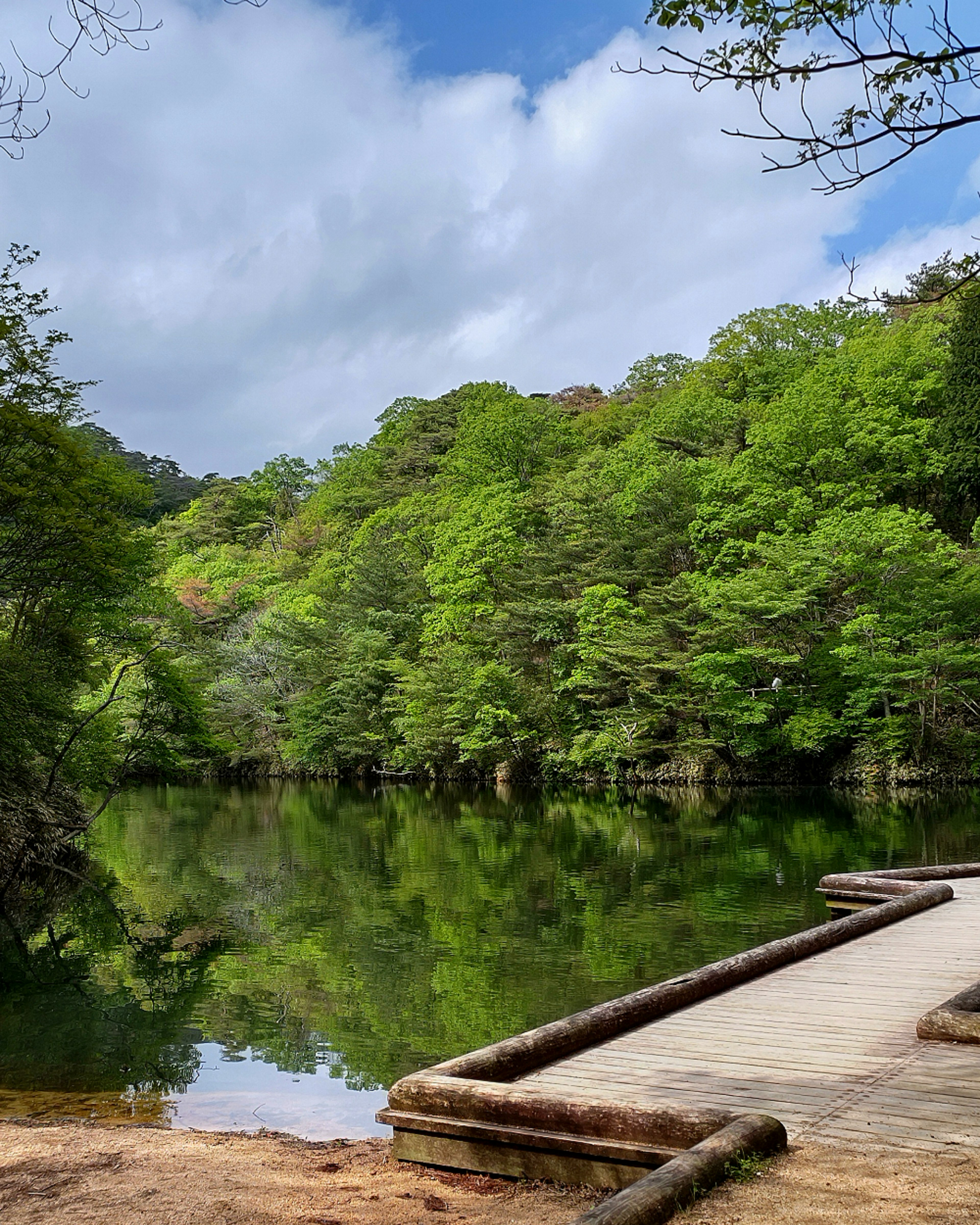 Alberi verdi lussureggianti che si riflettono su un lago calmo con un sentiero di legno