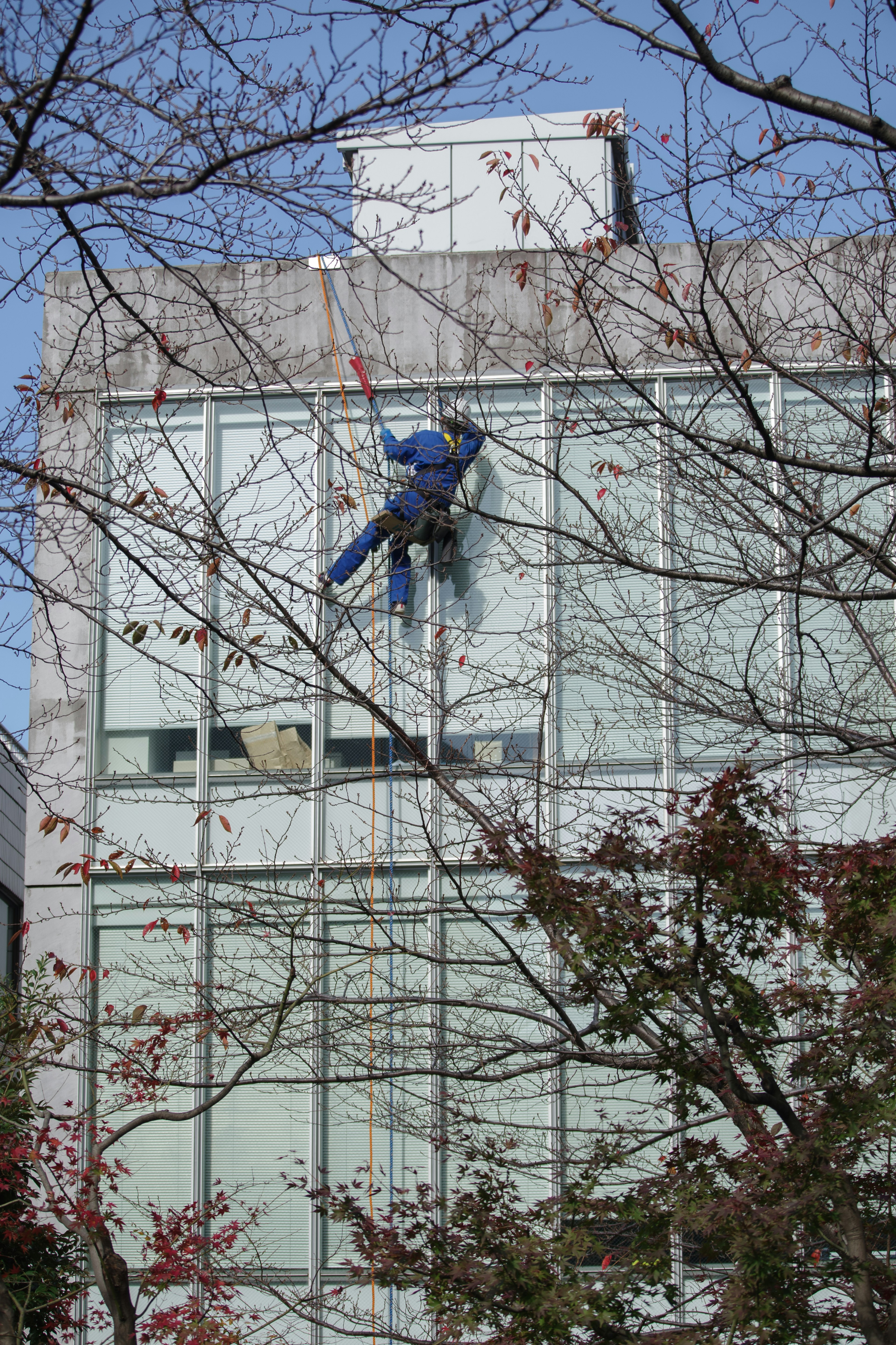 Ouvrier en uniforme bleu nettoyant les fenêtres d'un bâtiment