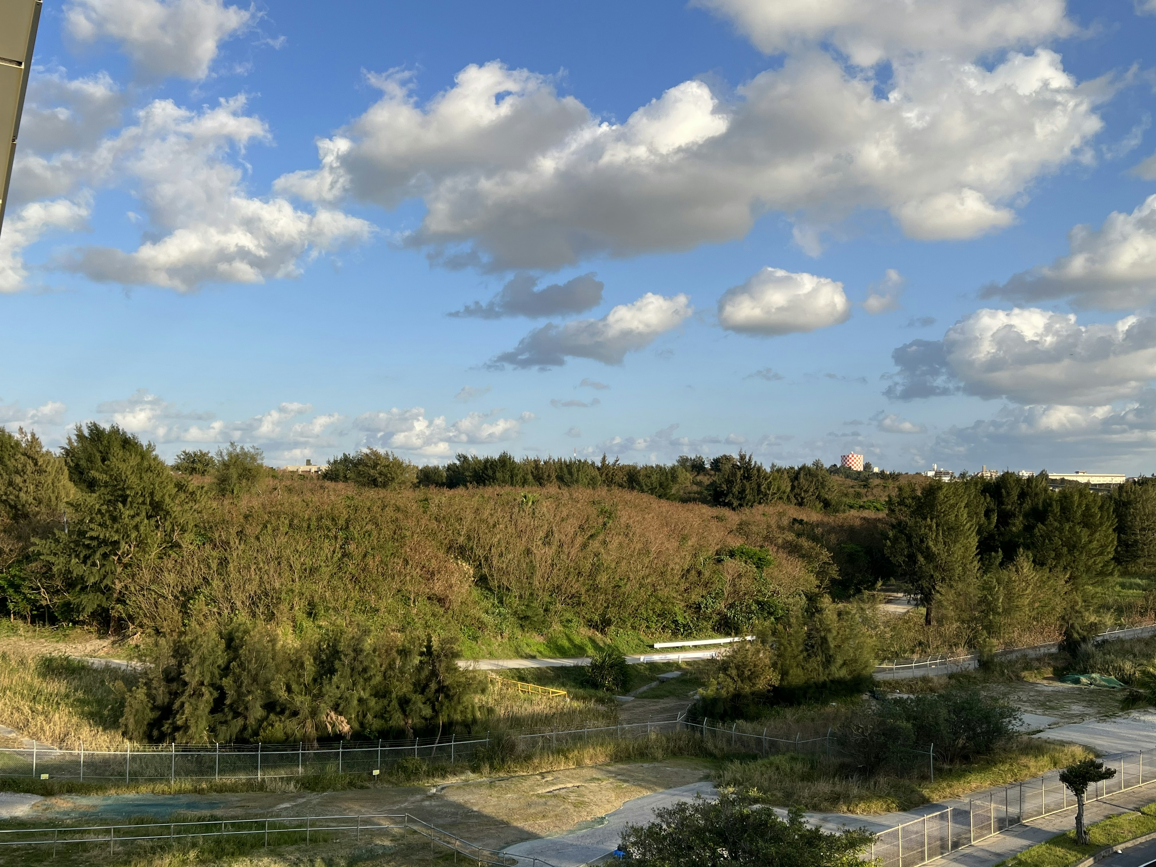 藍天白雲的風景 綠色山丘和樹木可見