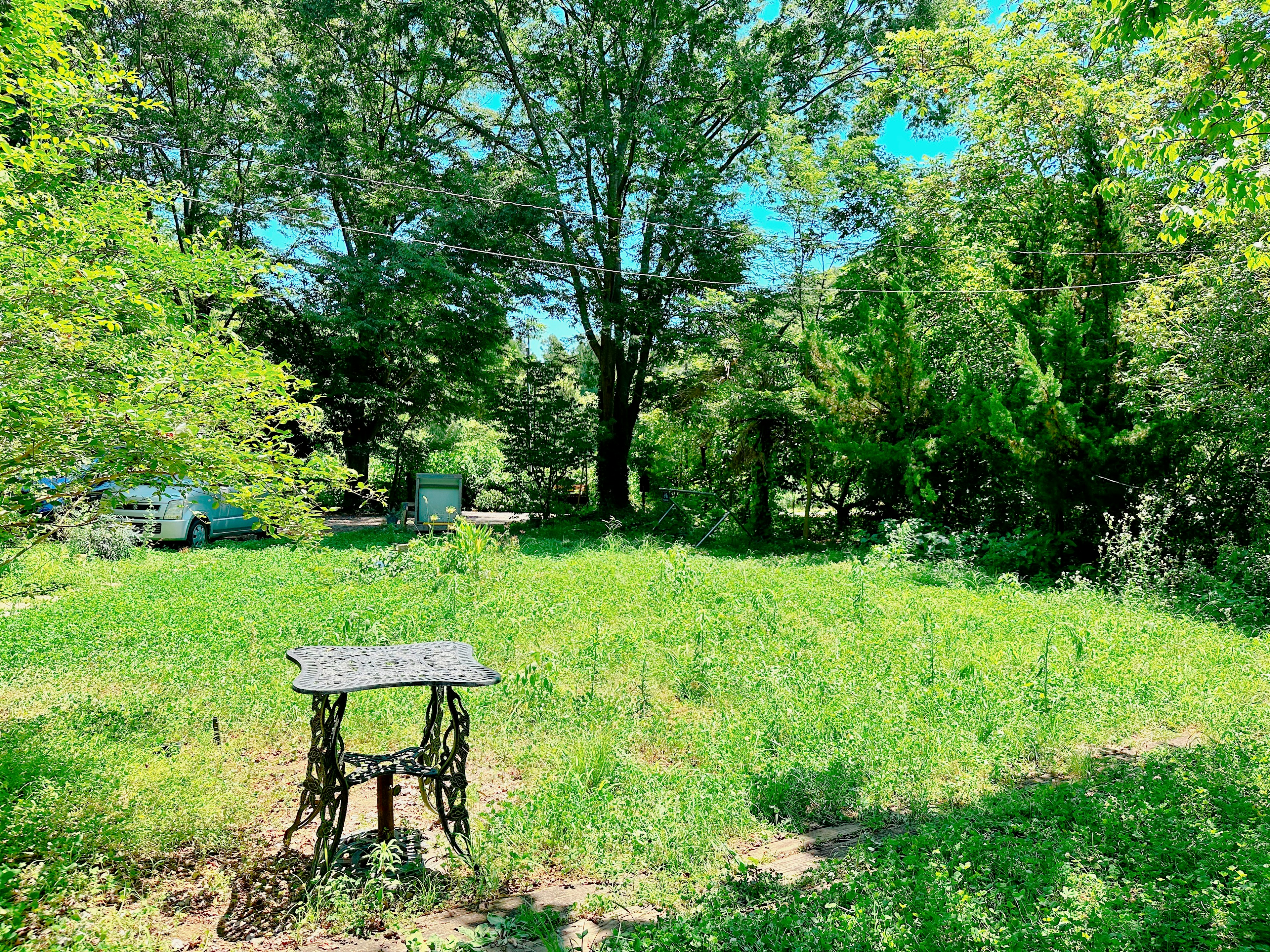 Jardin luxuriant avec une vieille table de machine à coudre entourée de verdure