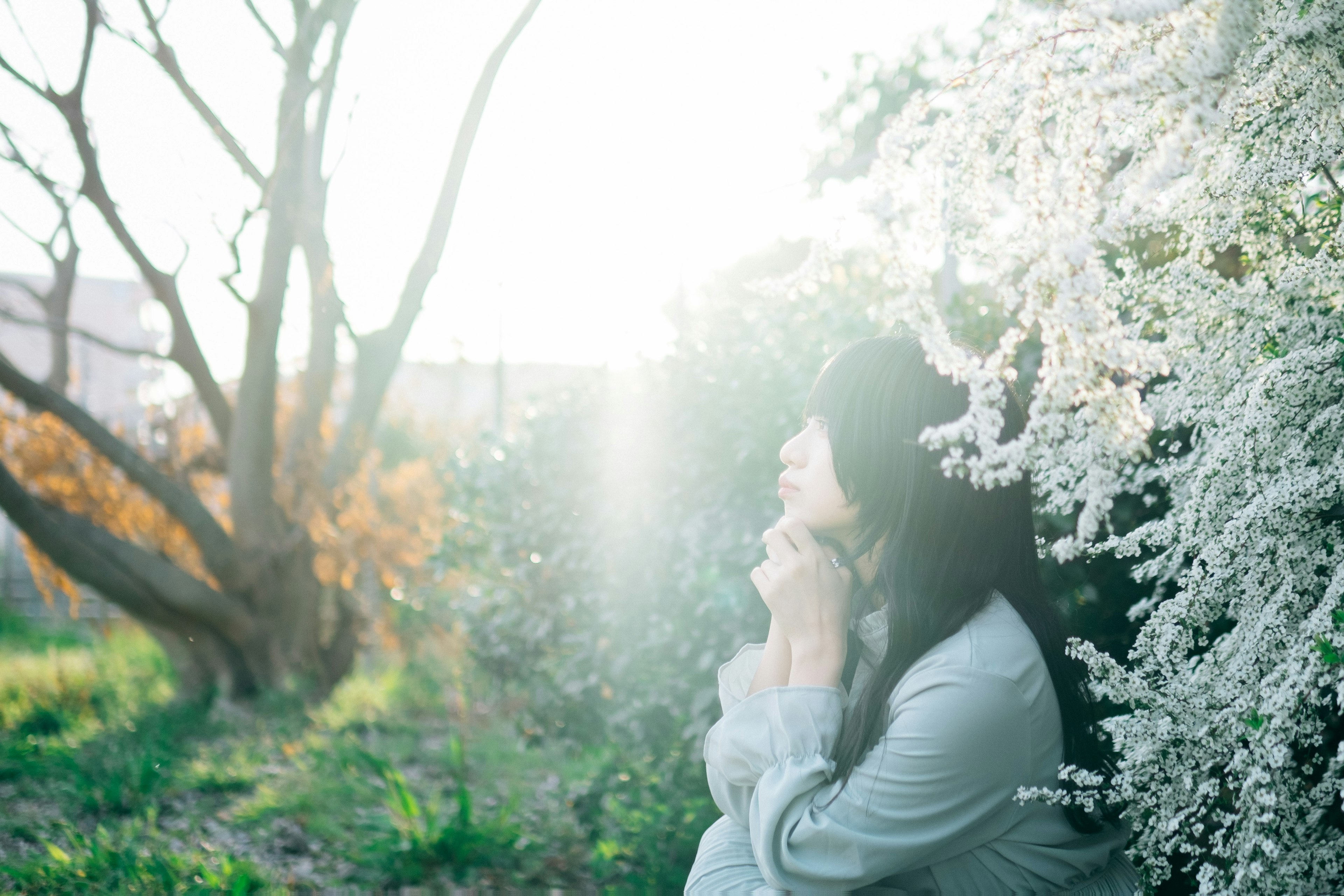 一位女性安静地坐在盛开的花朵旁边