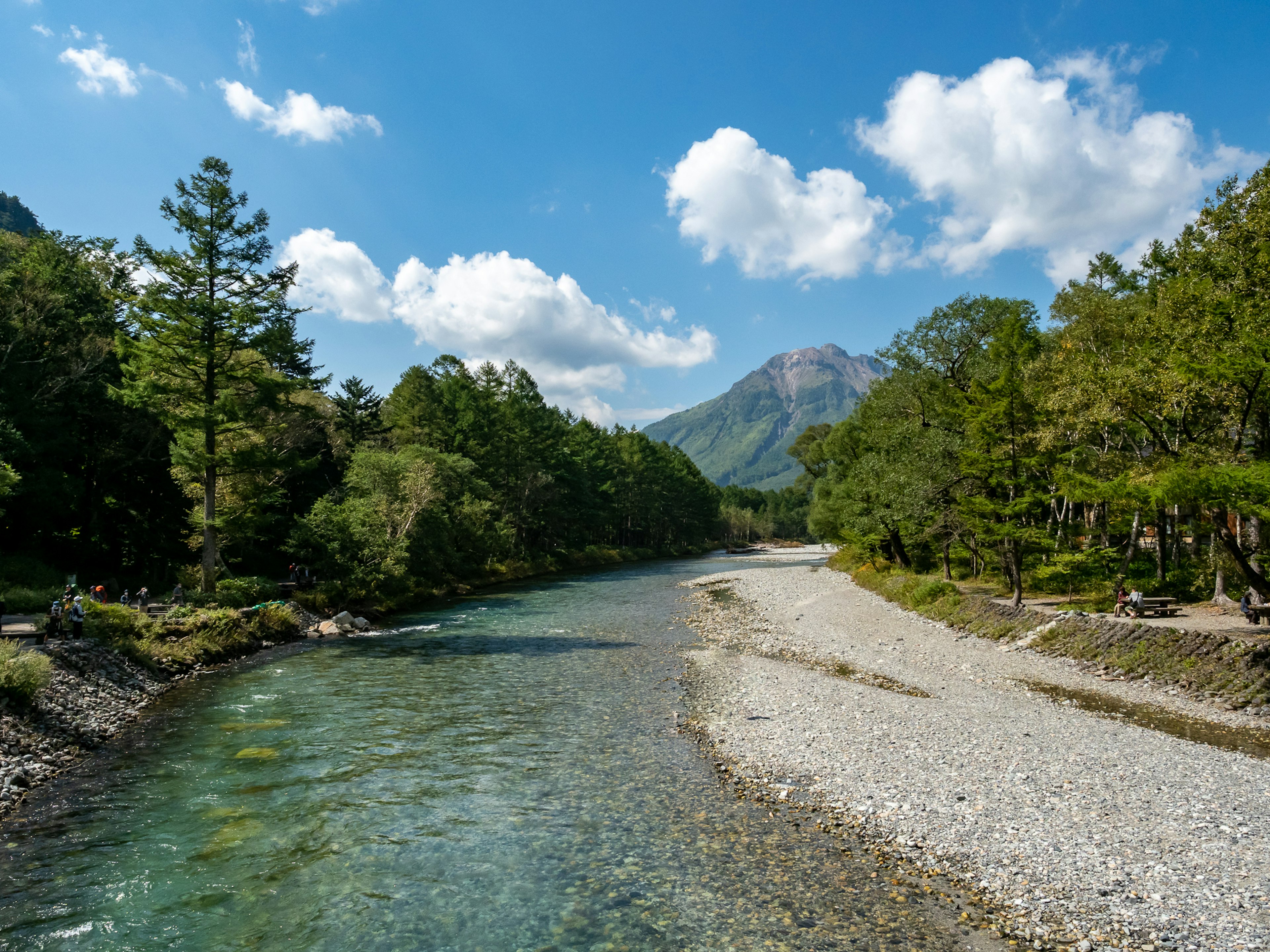 美しい川と緑の木々に囲まれた山の風景