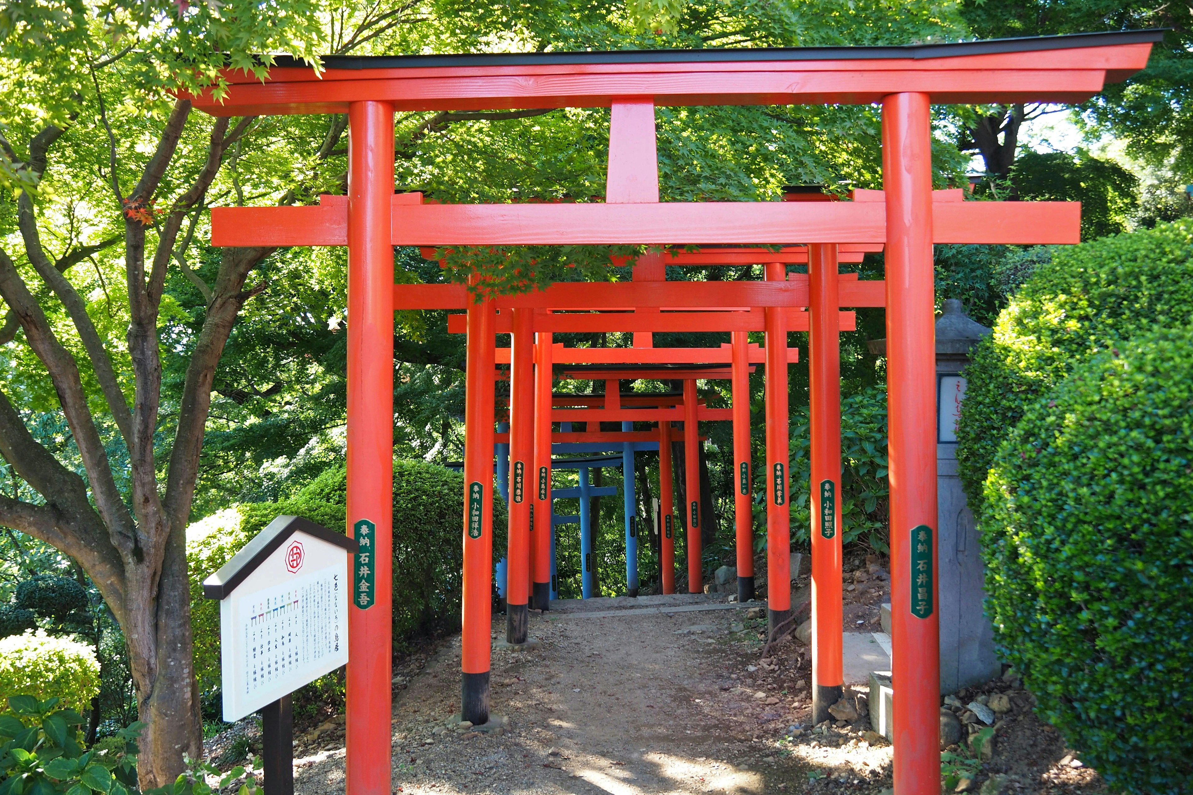 Ein Weg gesäumt von roten Torii-Toren, umgeben von üppigem Grün