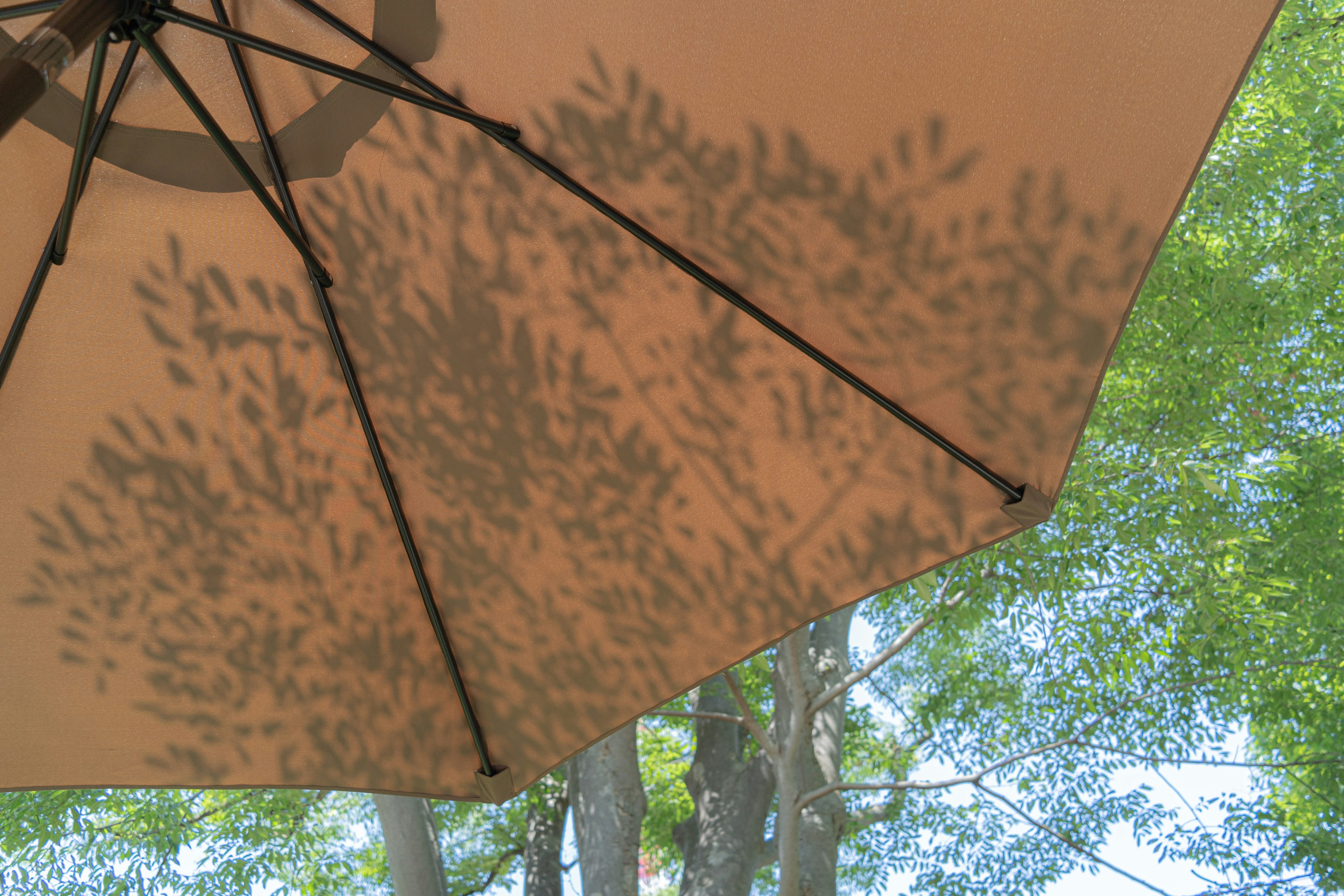 Shadow of leaves on an umbrella with a green backdrop