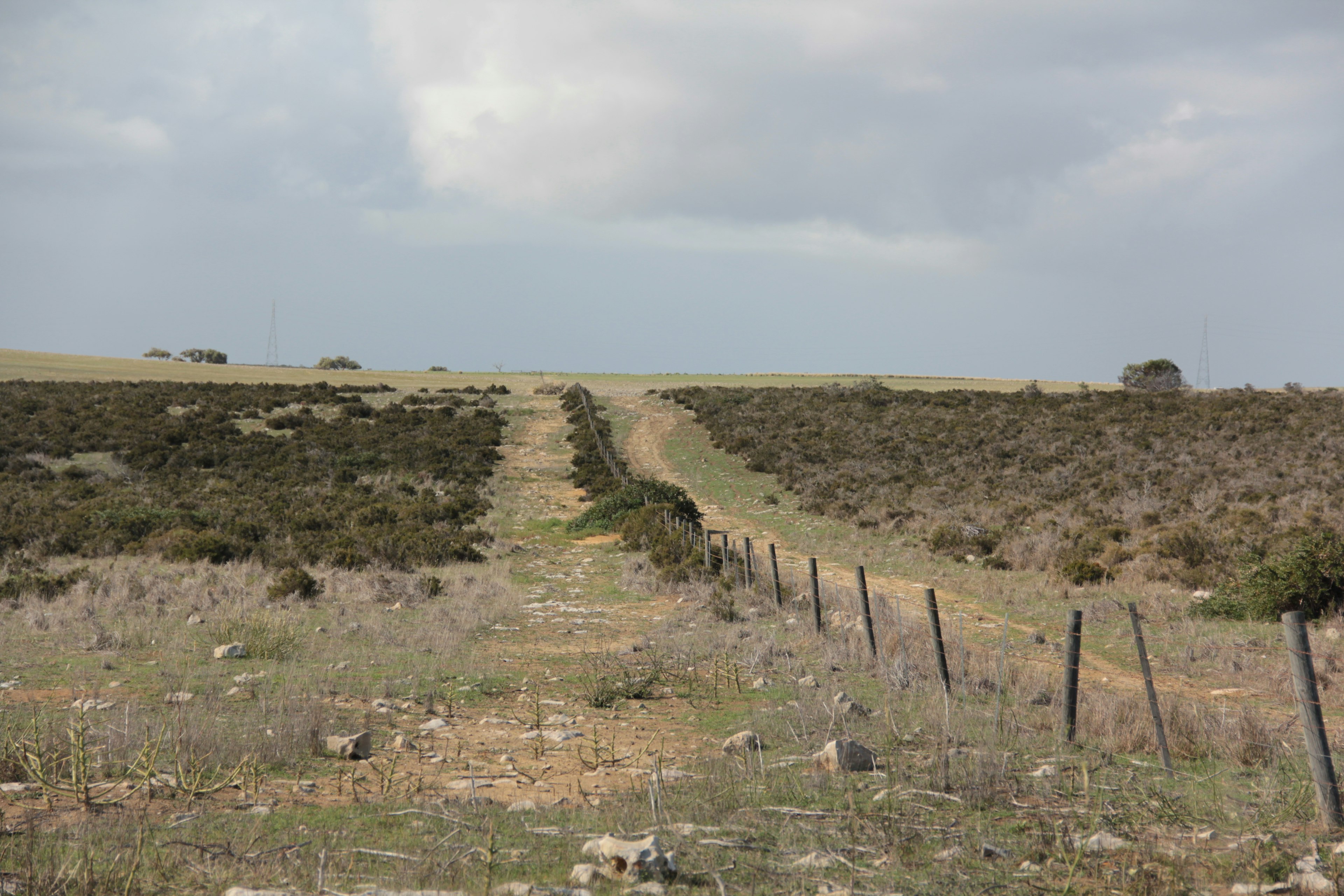 Dirt path through dry grassland with a fence