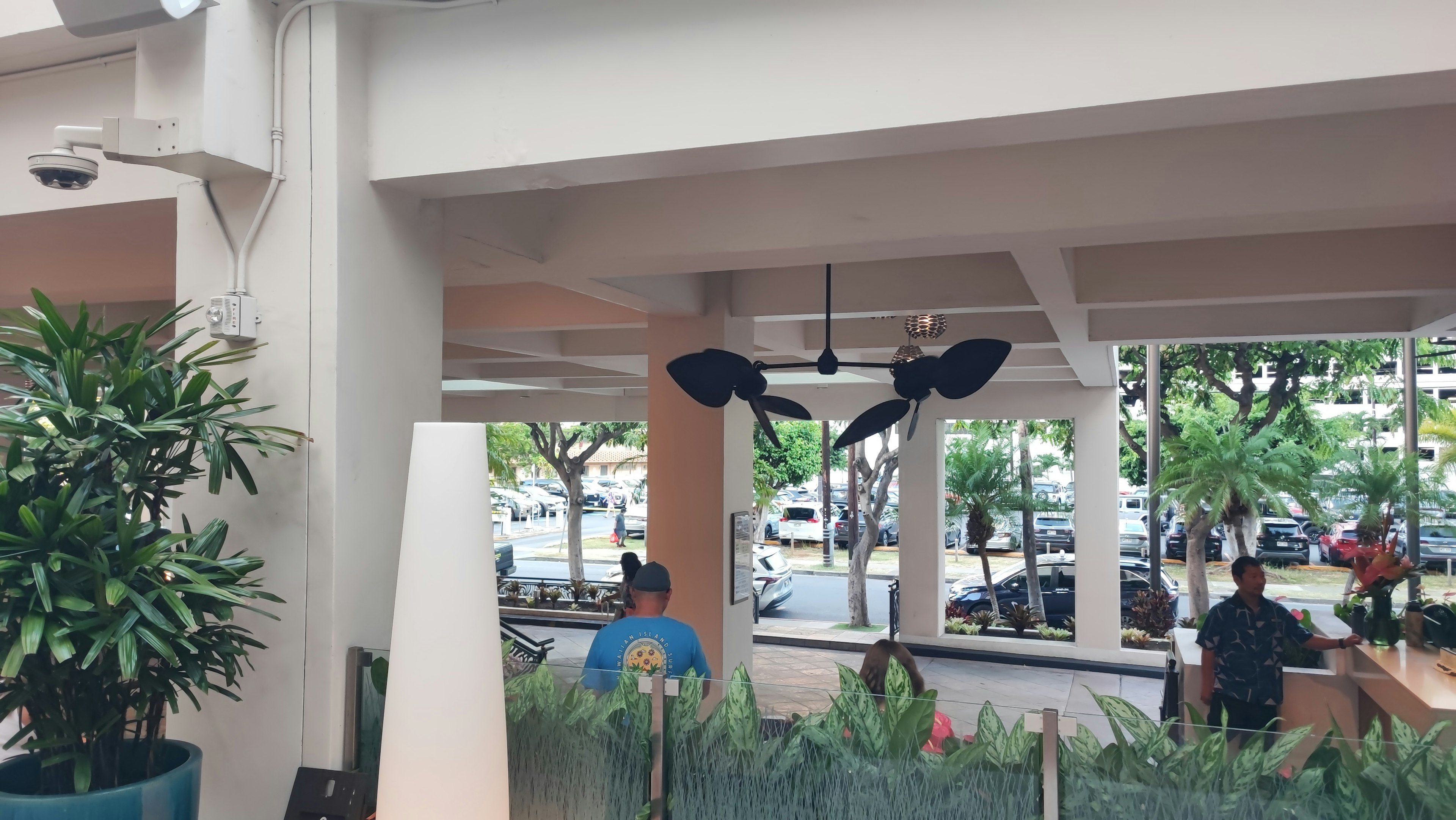 Interior view of a cafe featuring plants and ceiling fans