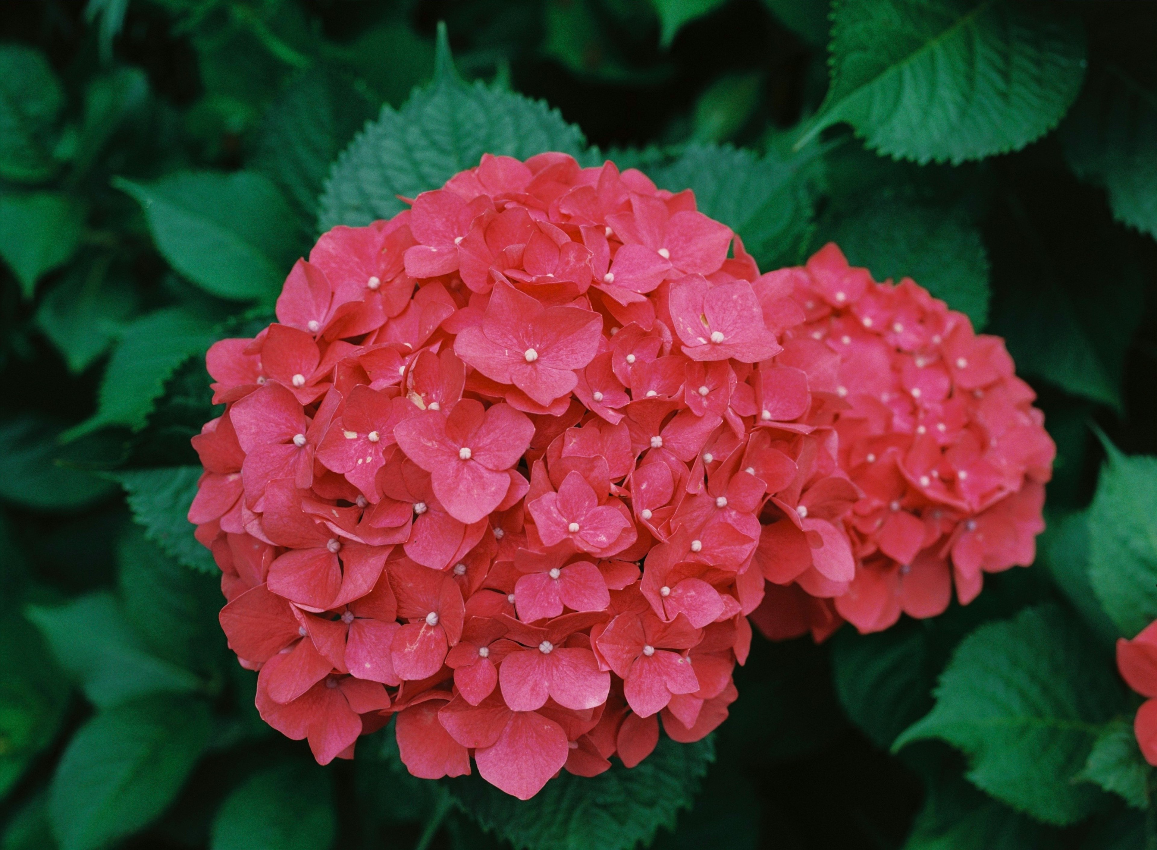 photo-vg96dPcbZ9XuD6Zwq6KB-image