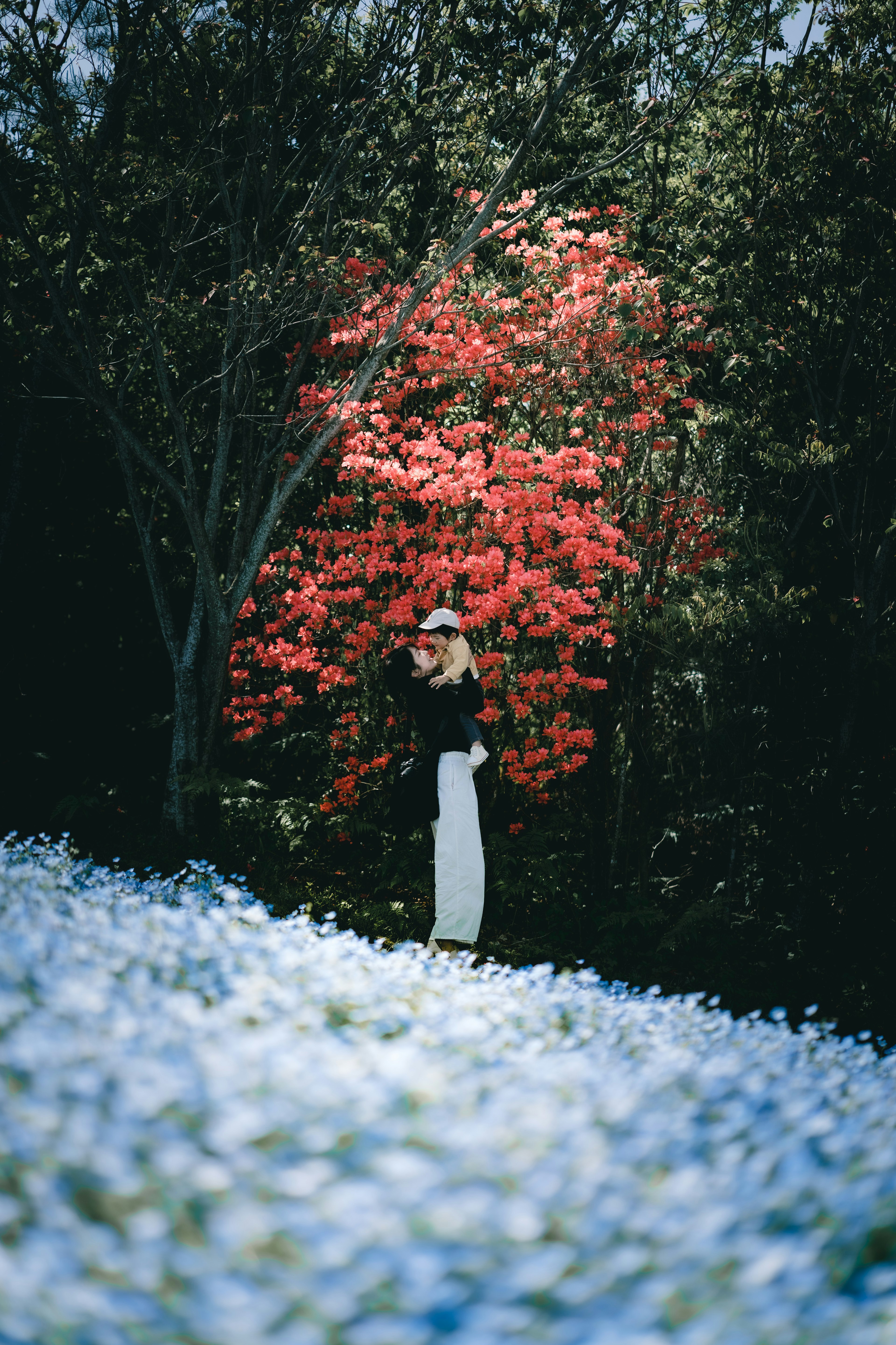 Eine Frau in einem weißen Kleid steht vor einem roten blühenden Baum in einem blauen Blumenfeld