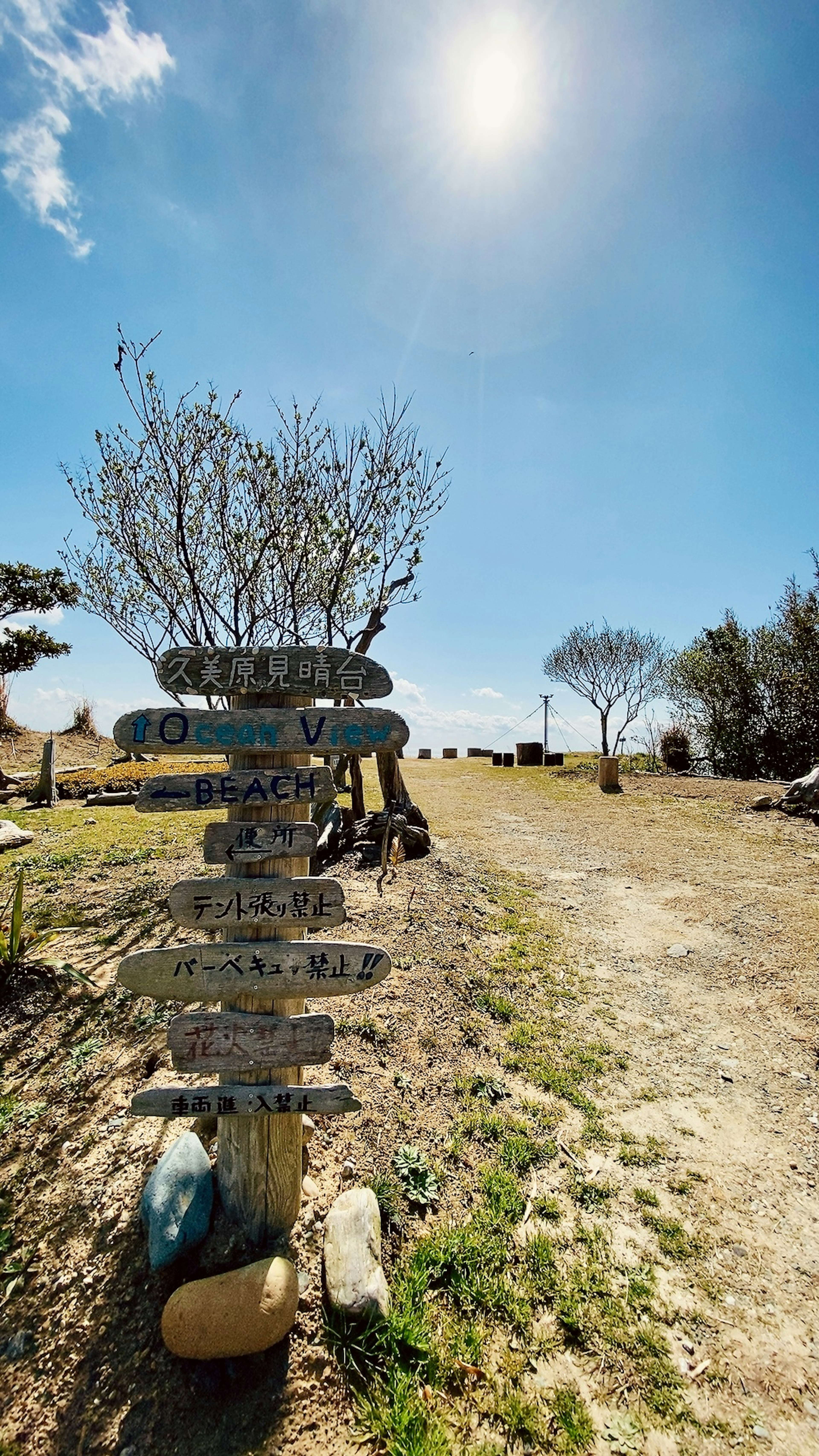 Un paisaje con un cartel y árboles bajo un cielo brillante