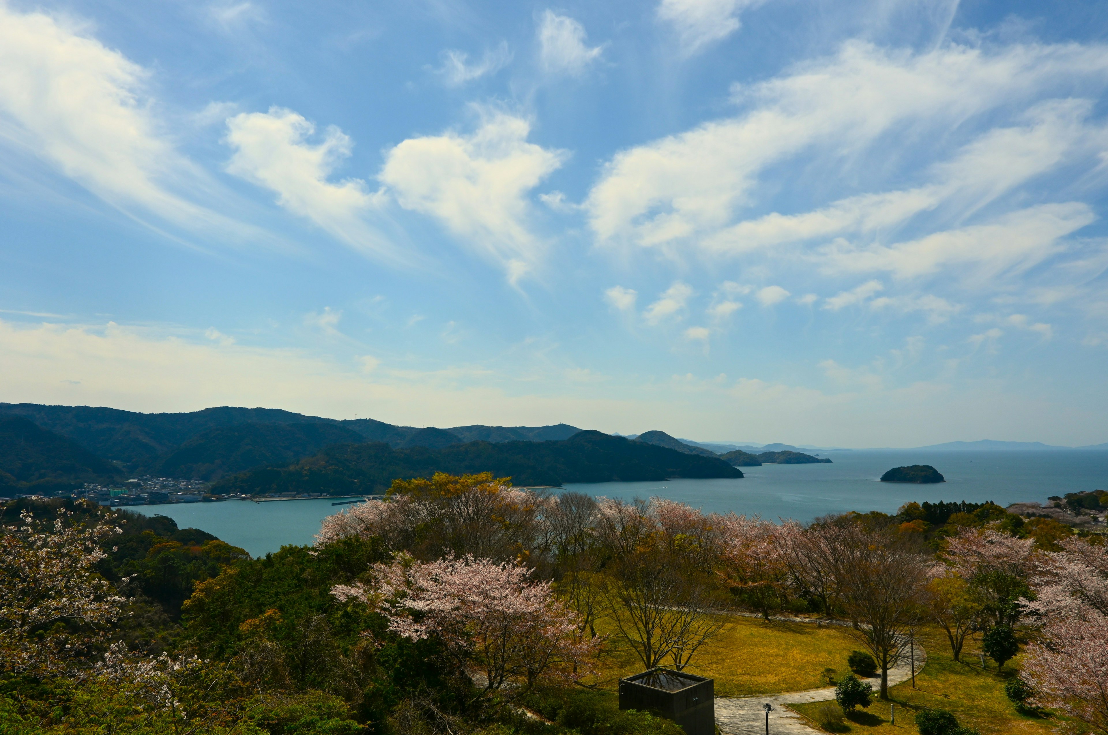 美しい桜と海の景色が広がる風景