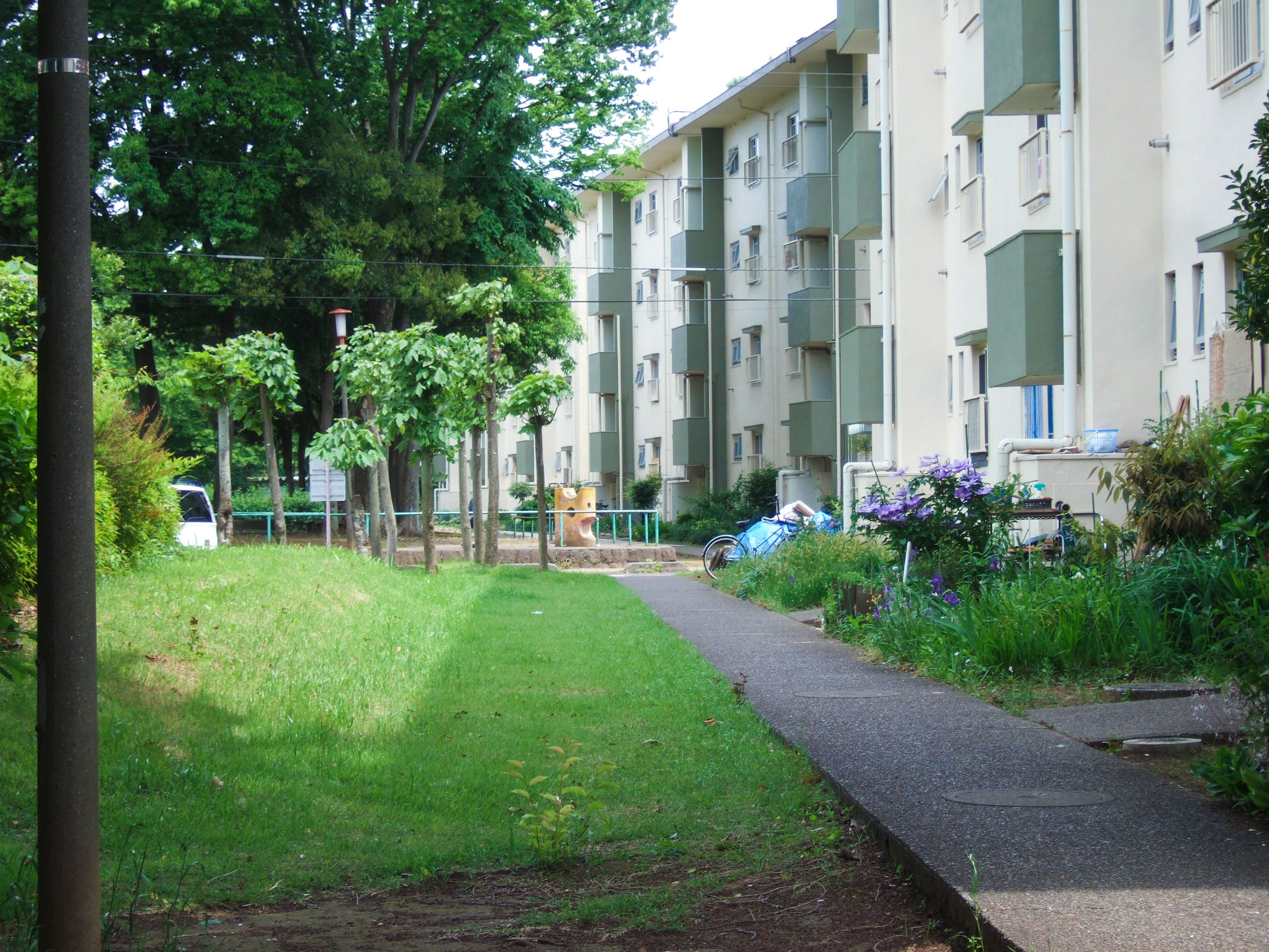 Vista di un parco lussureggiante con edifici residenziali erba verde e sentiero che crea un'atmosfera serena