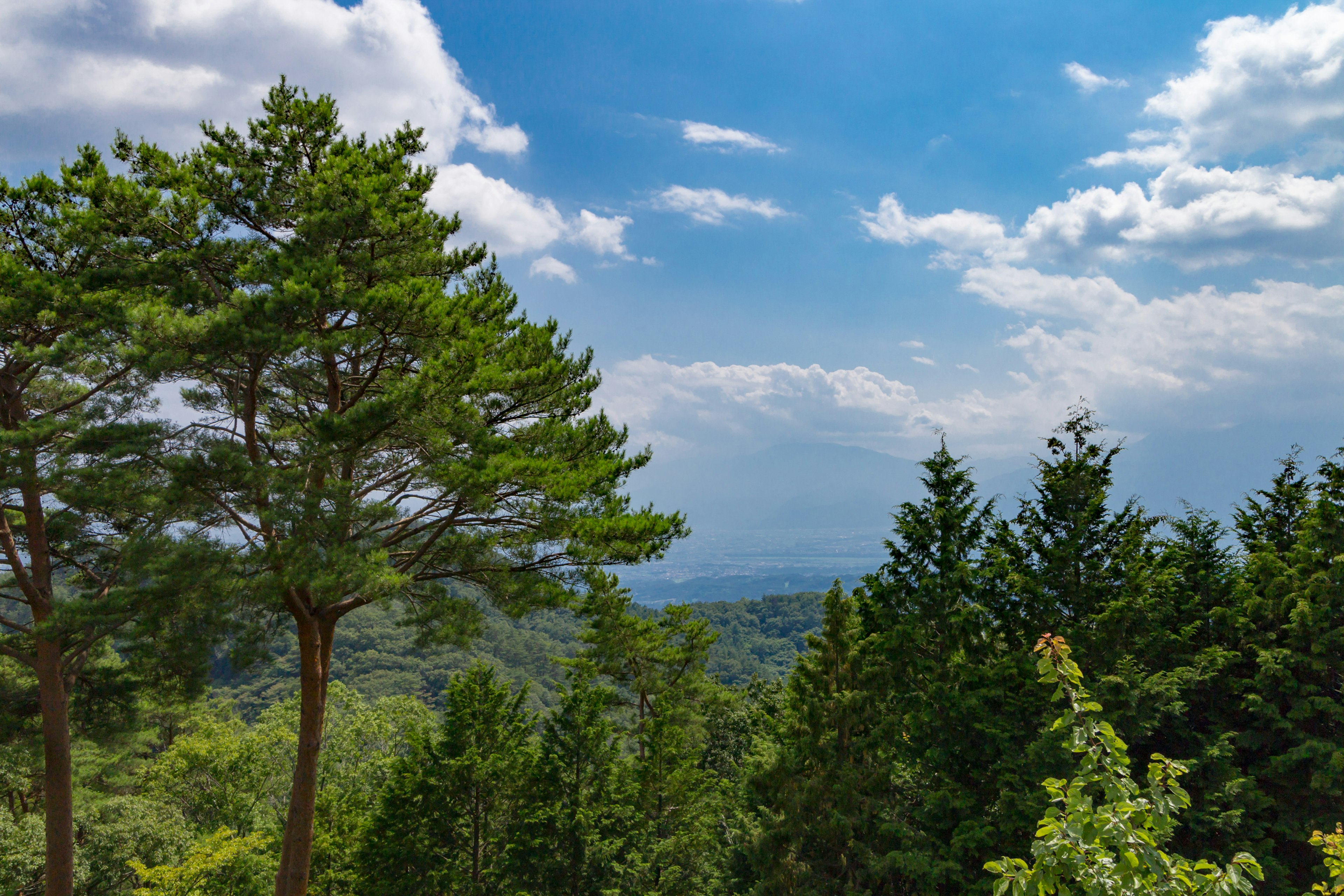 Paysage montagneux avec ciel bleu et nuages blancs arbres verts luxuriants