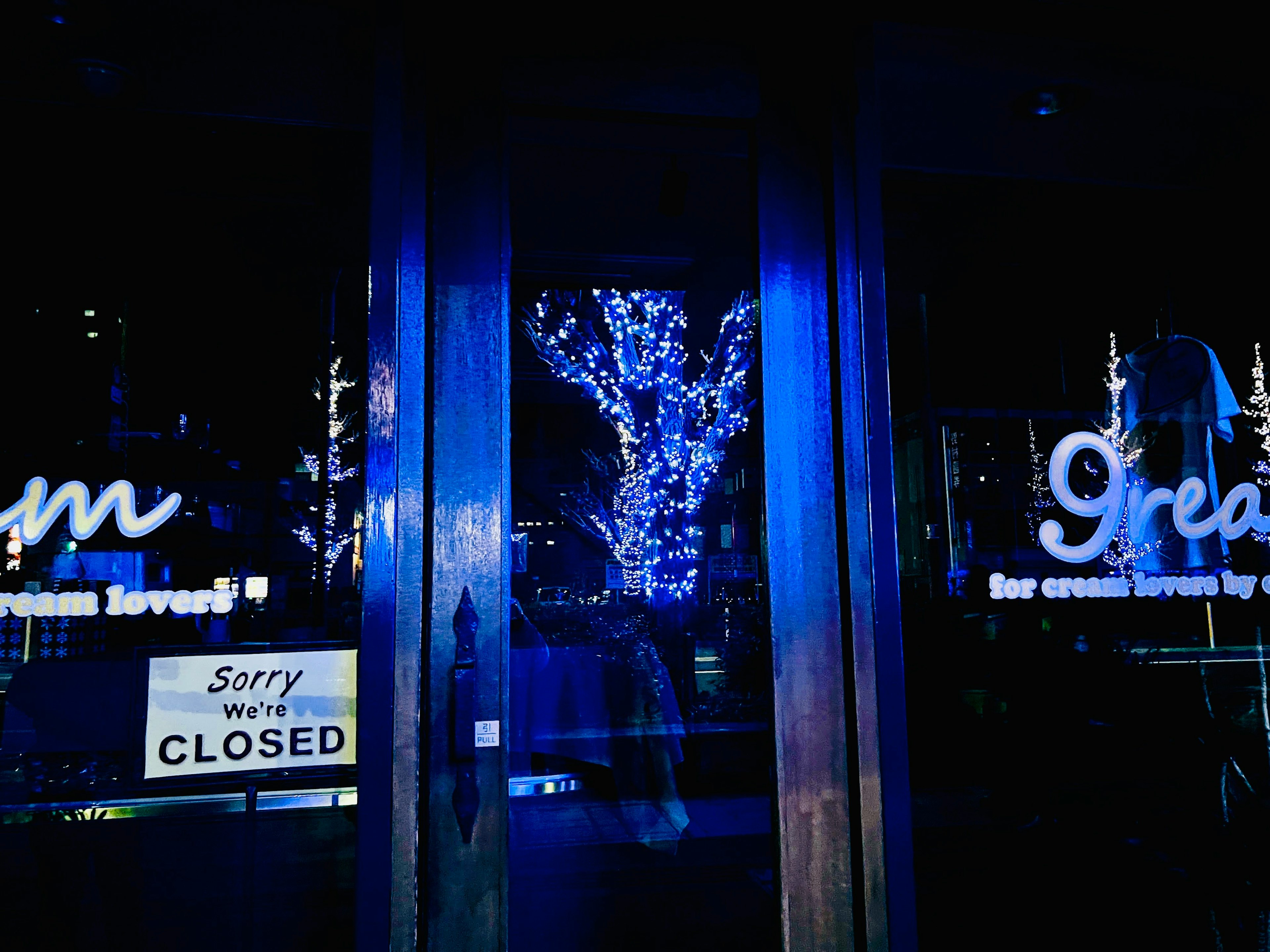 Entrada de una tienda cerrada iluminada por luces azules con un árbol decorativo