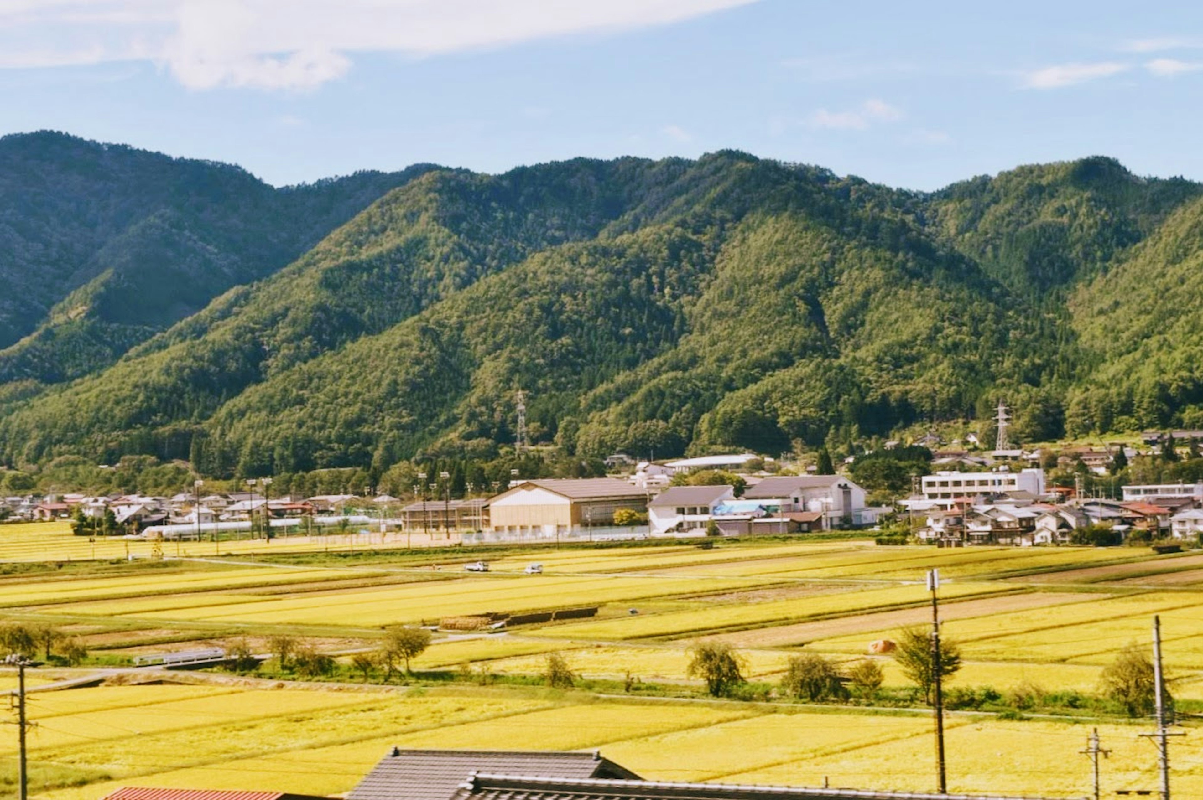 风景如画的绿山和稻田