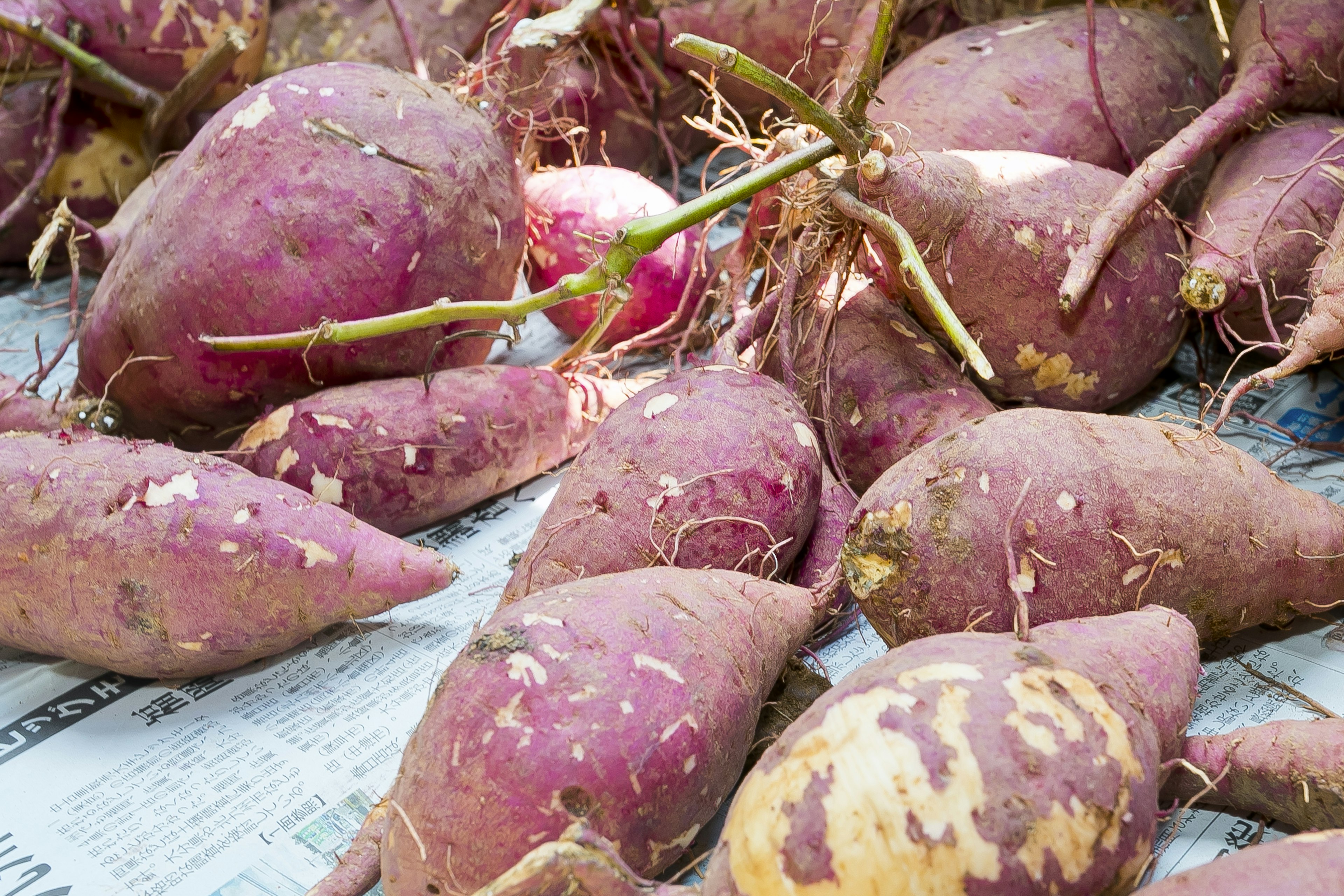 Sweet potatoes arranged on newspaper