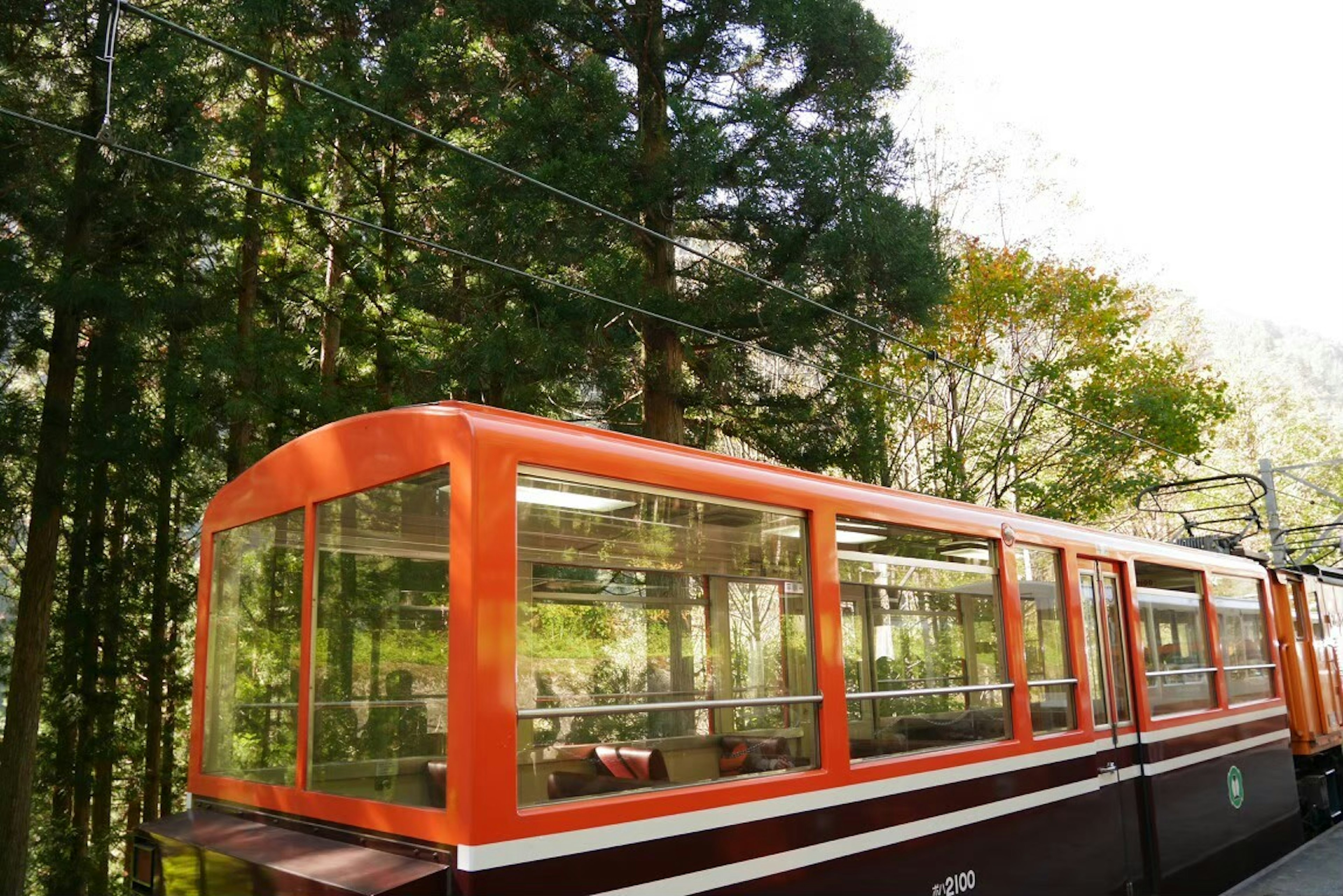 Kereta dengan jendela oranye dikelilingi pohon hijau