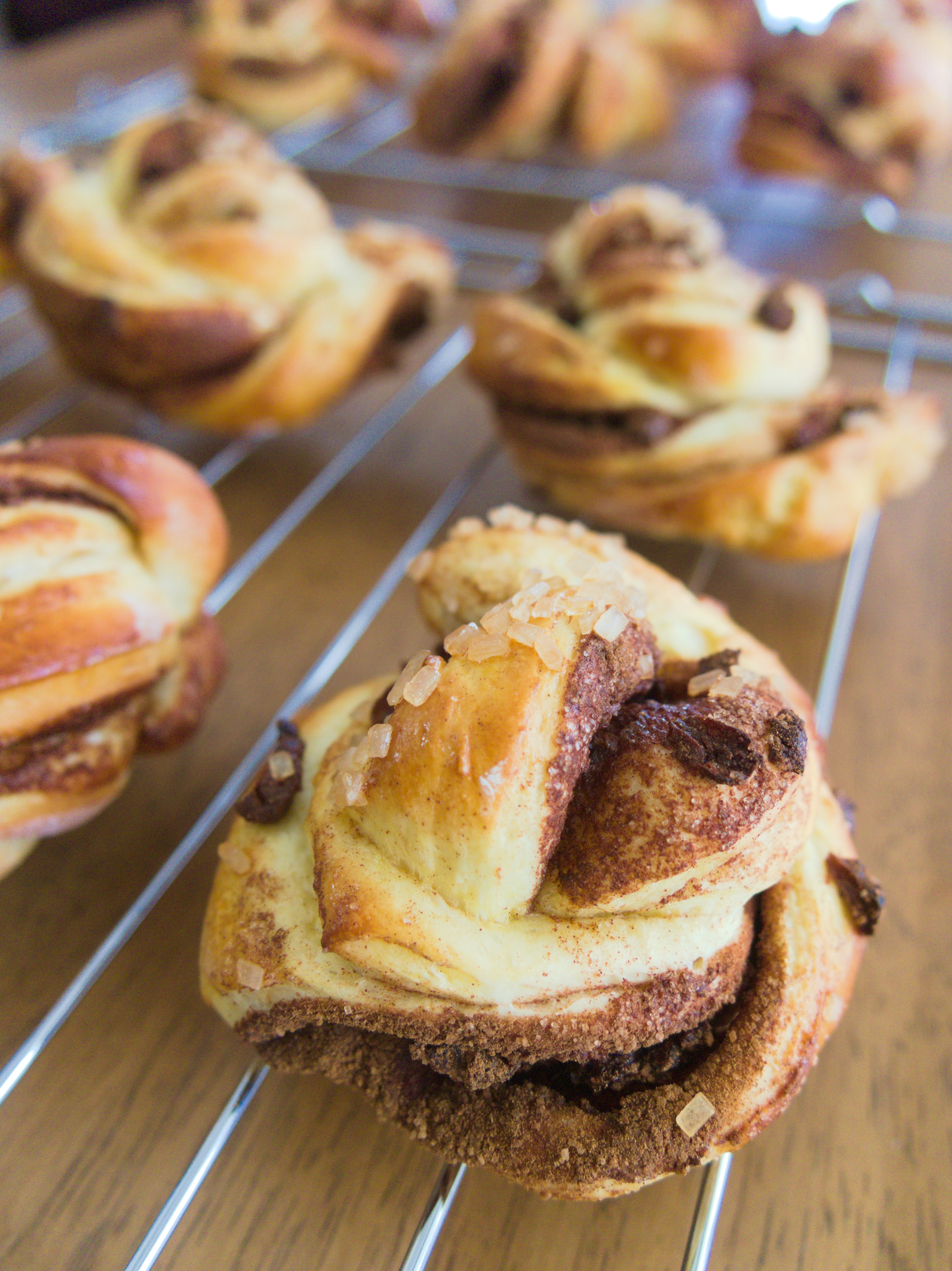 Freshly baked cinnamon rolls arranged on a cooling rack