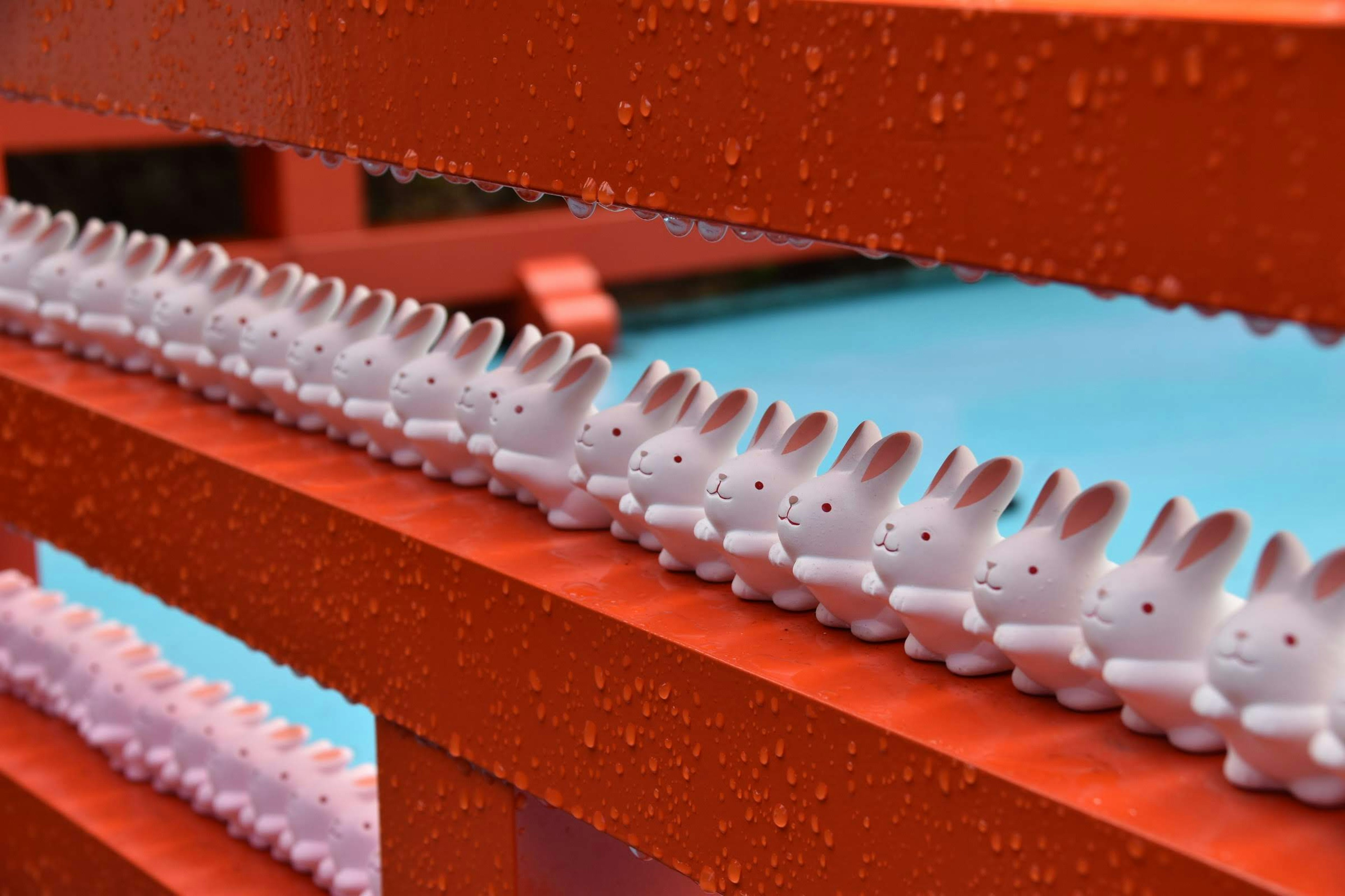 Small white rabbit figurines lined up on a red shelf with water droplets