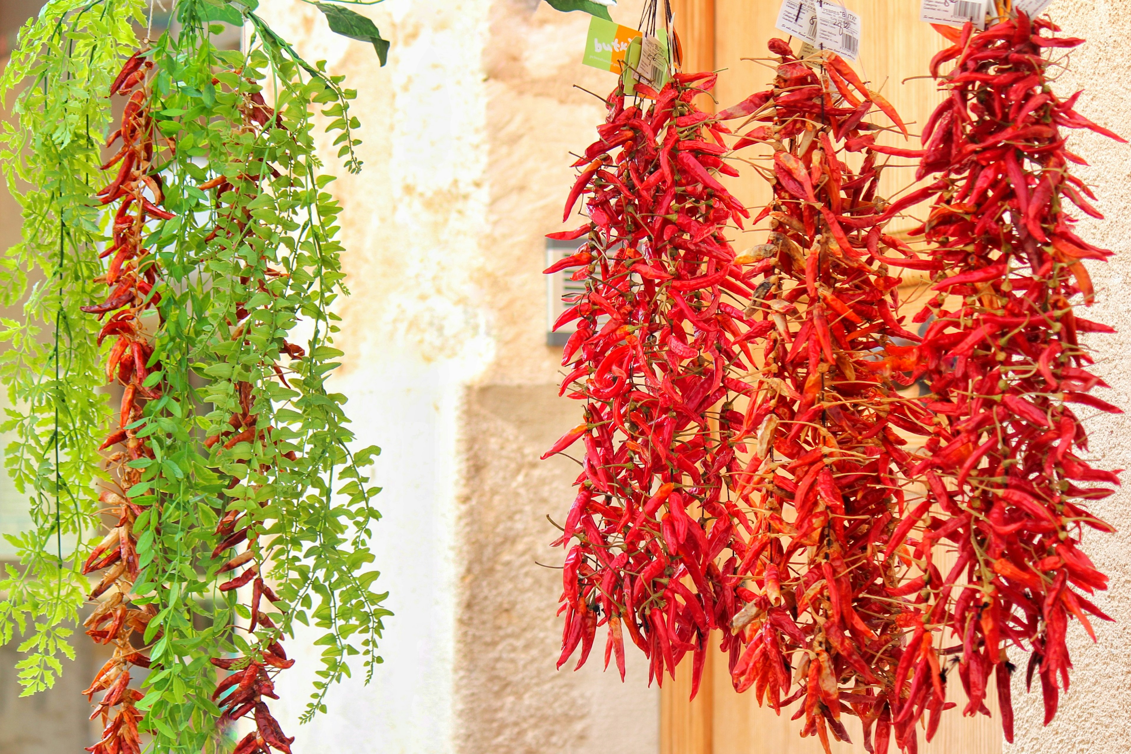 Image of red and green chili peppers hanging